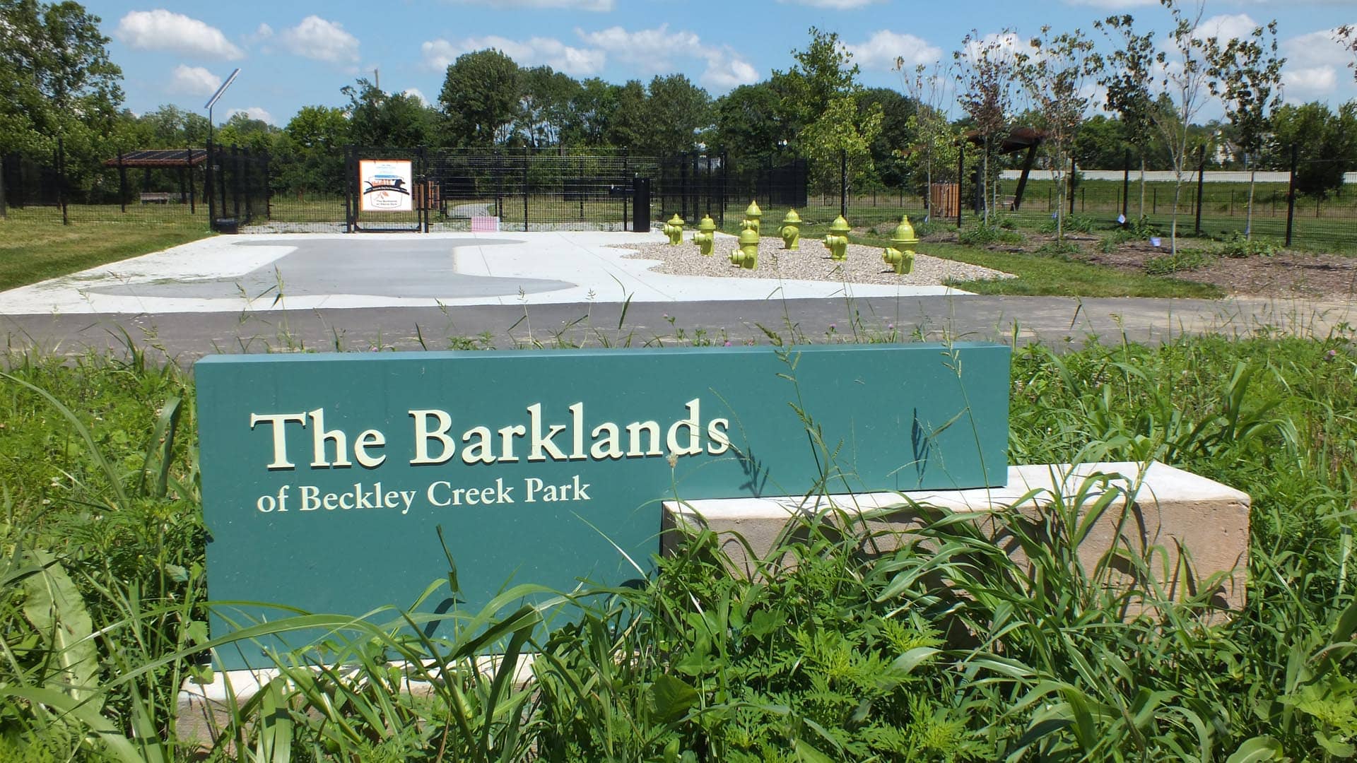 The Barklands