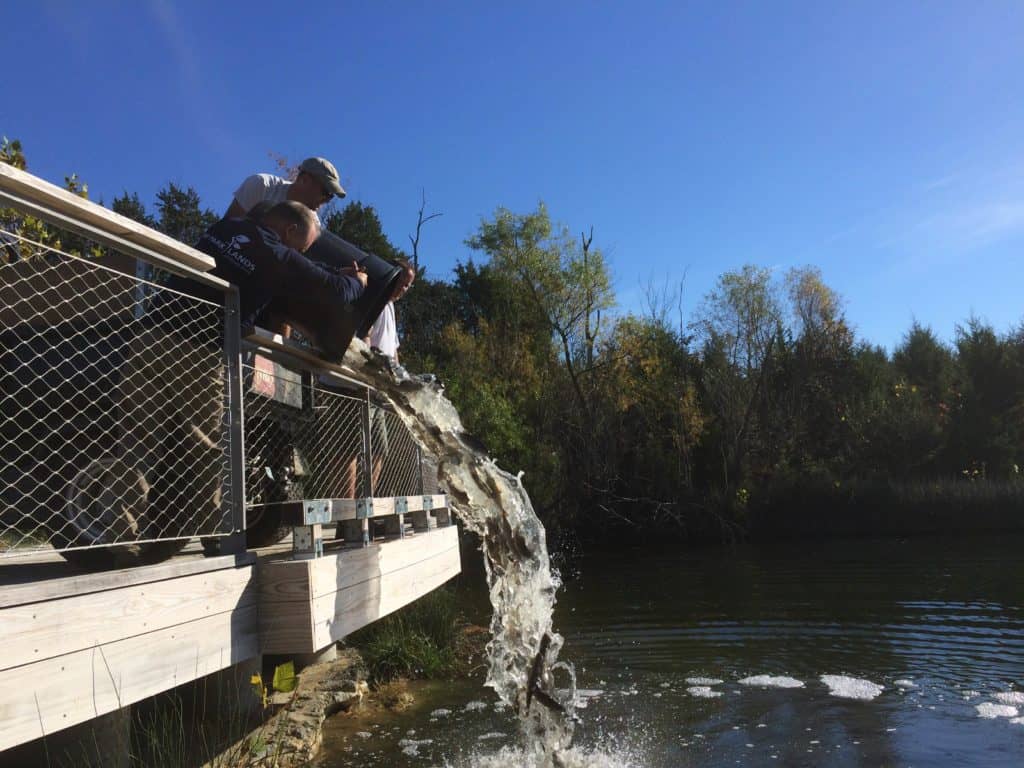 Pond Fishing