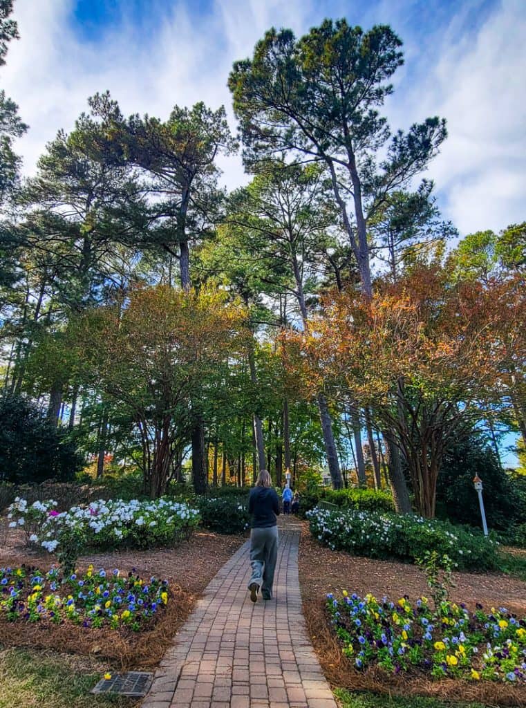 Peaceful Walking Paths