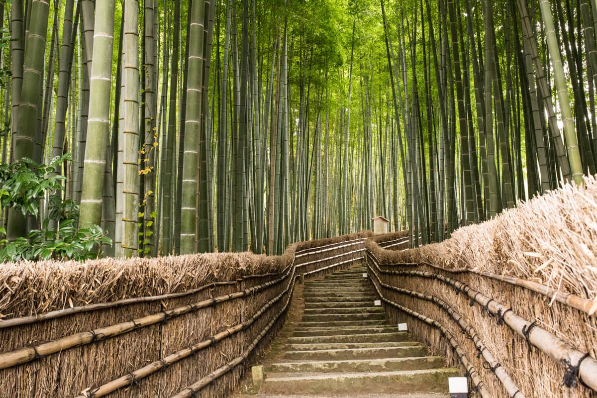 Adashino Nenbutsu-ji Temple