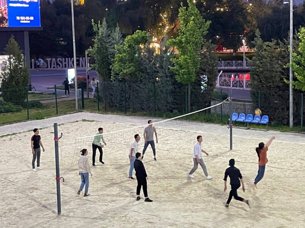 Volleyball Court