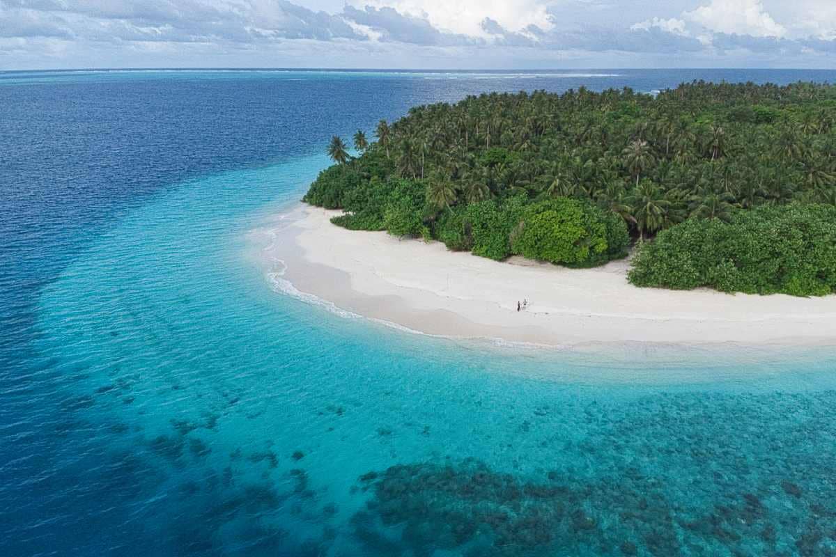 Vibrant Coral Reefs