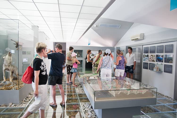 Montenegrin History Exhibits