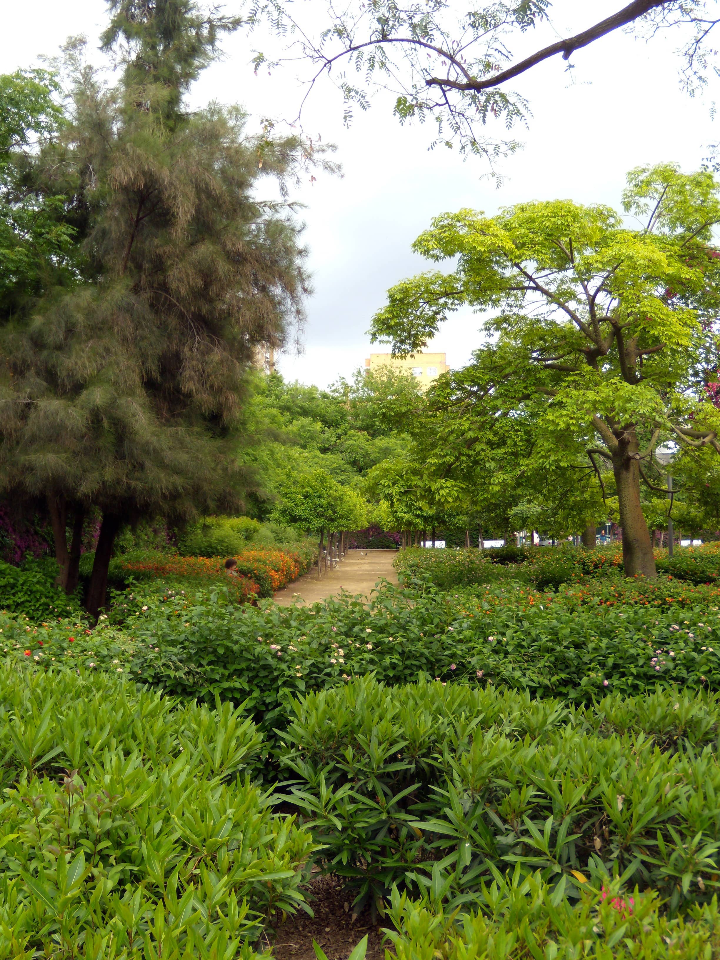 Lush Greenery