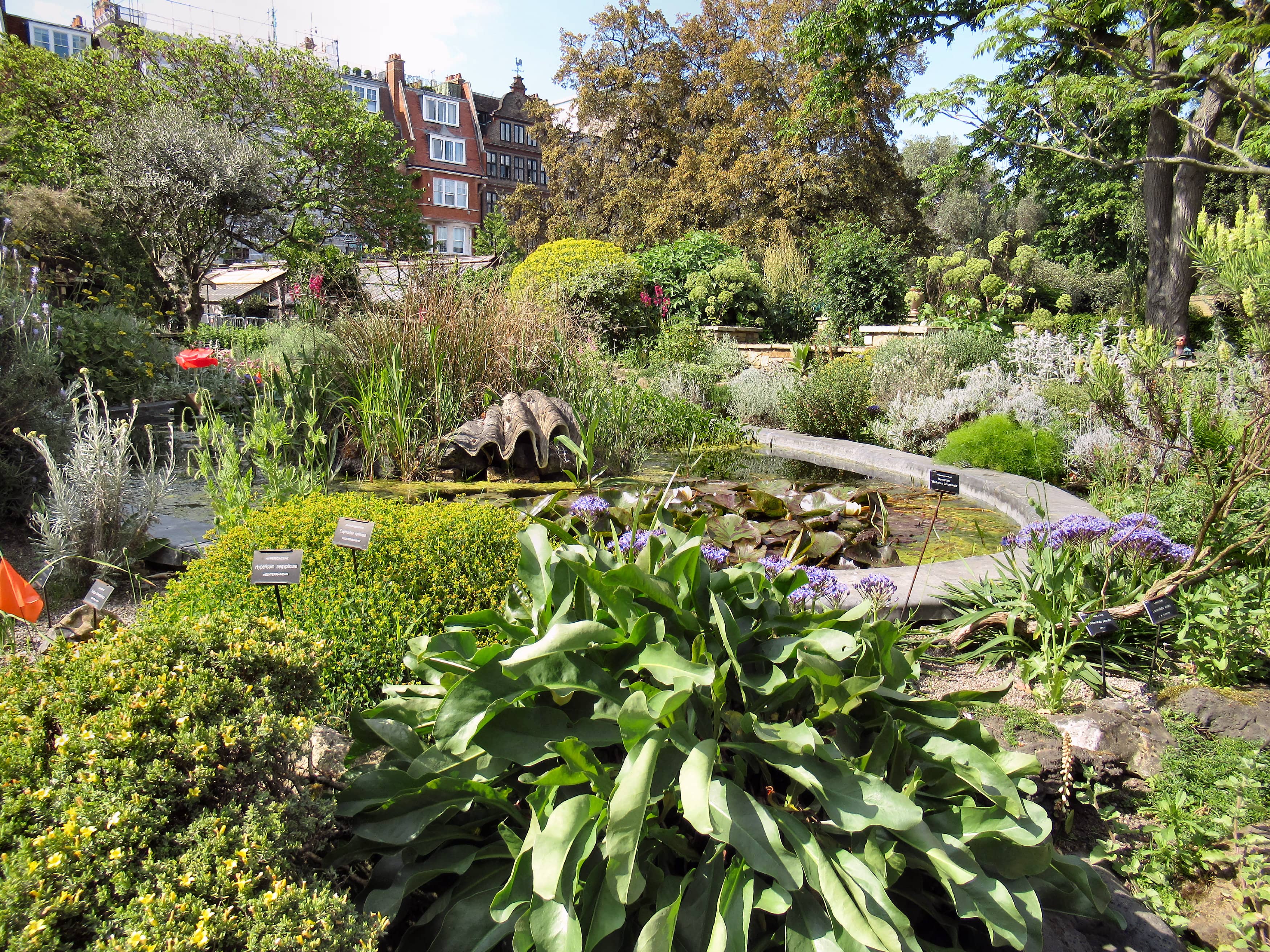 The Rock Garden