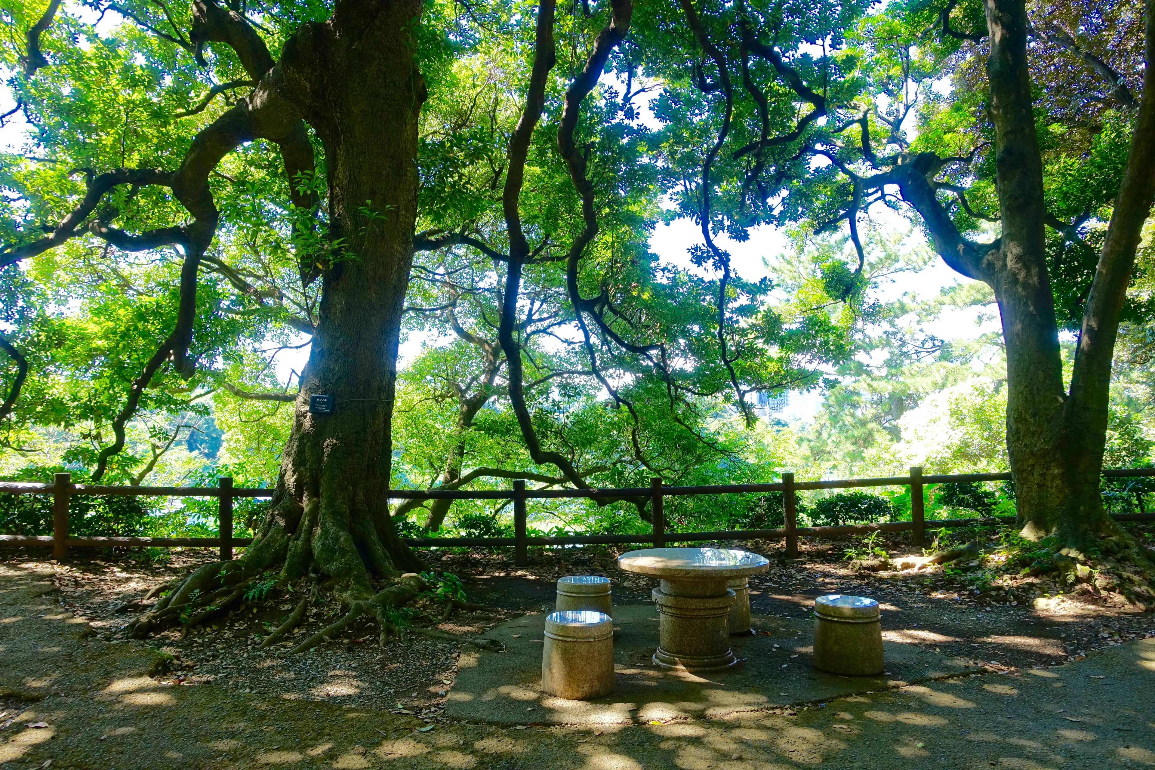 Kitanomaru Park Location