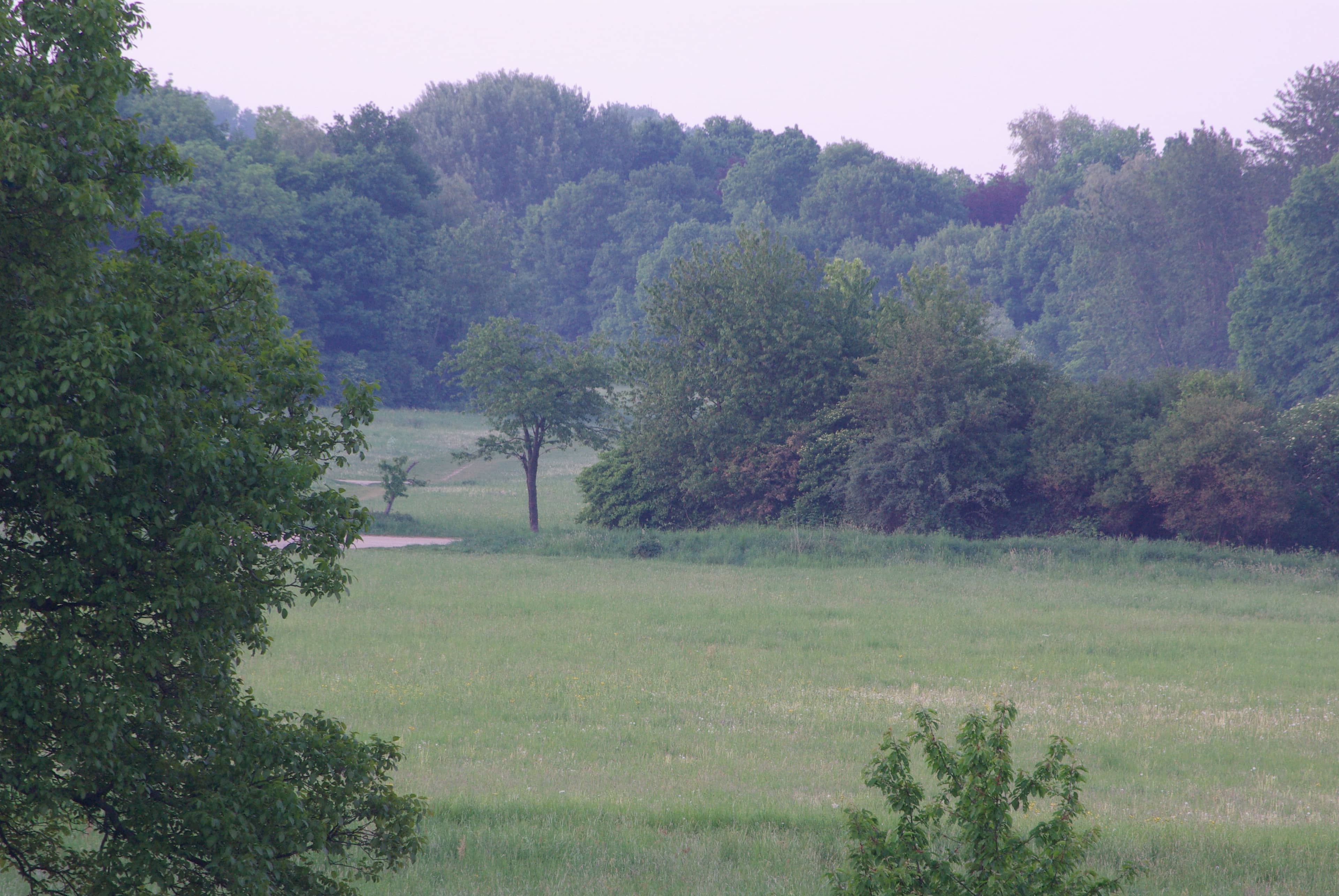 Open Meadows & Shaded Woods