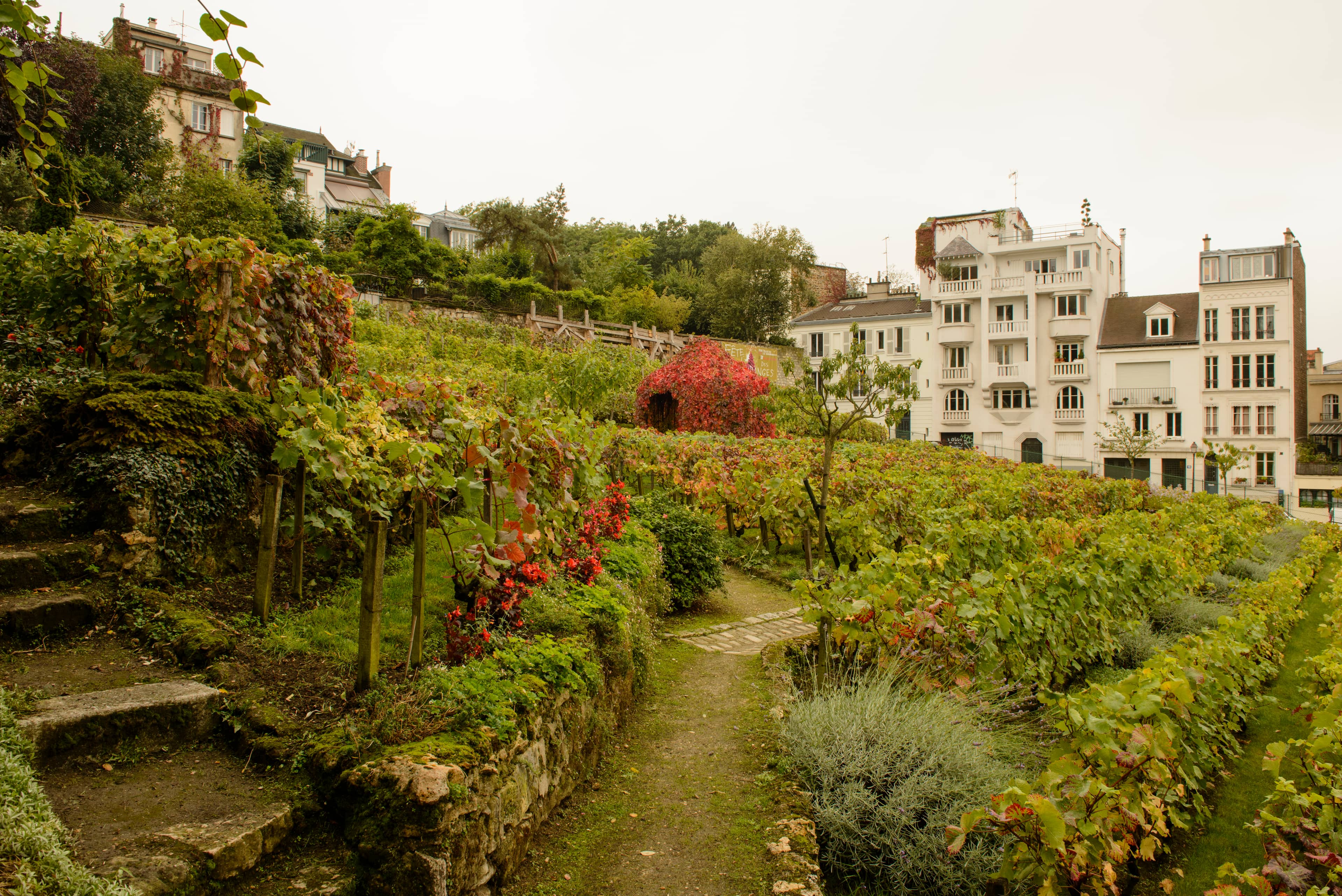 Hidden Streets & Vineyards