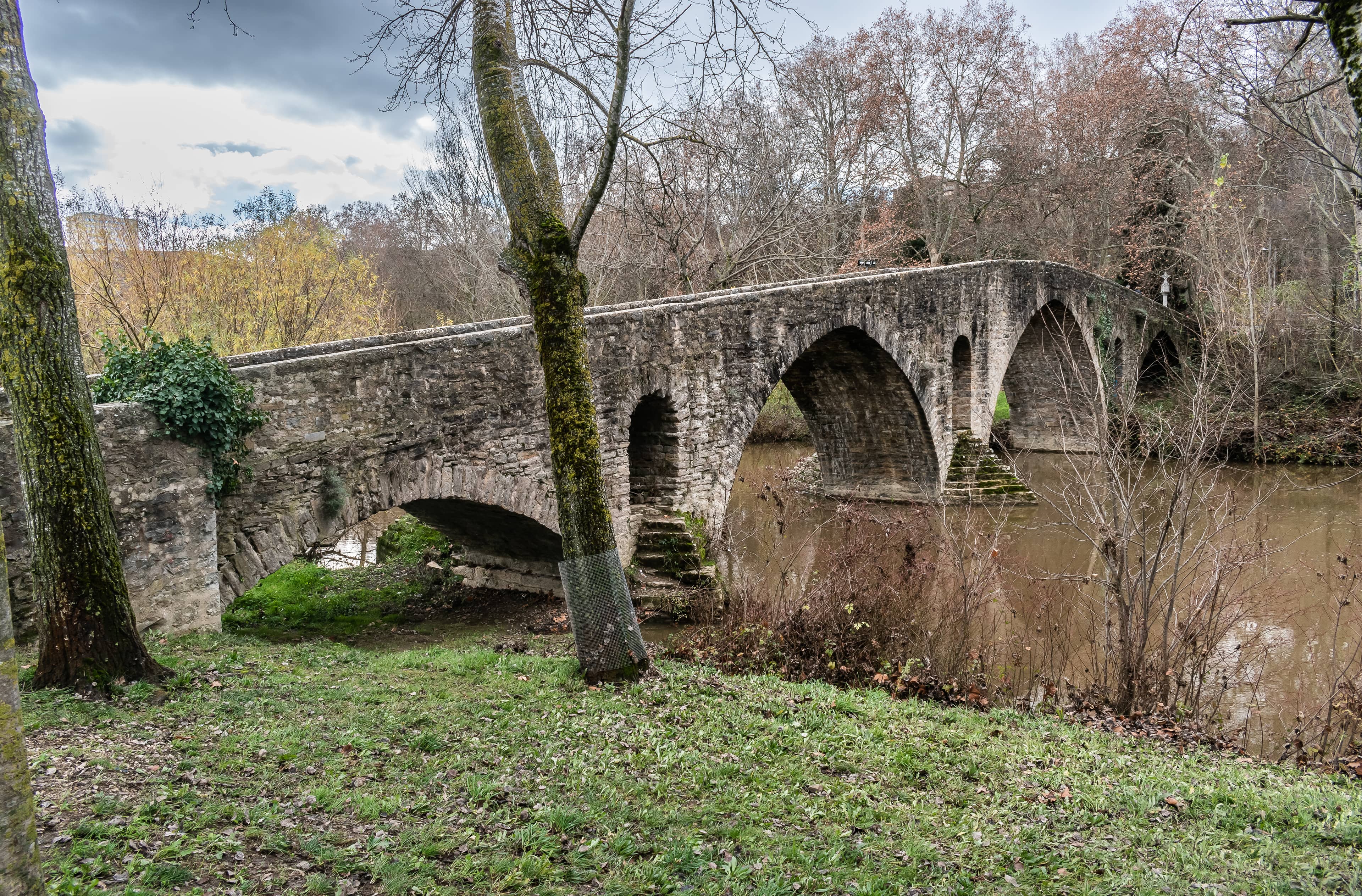 River Arga Views