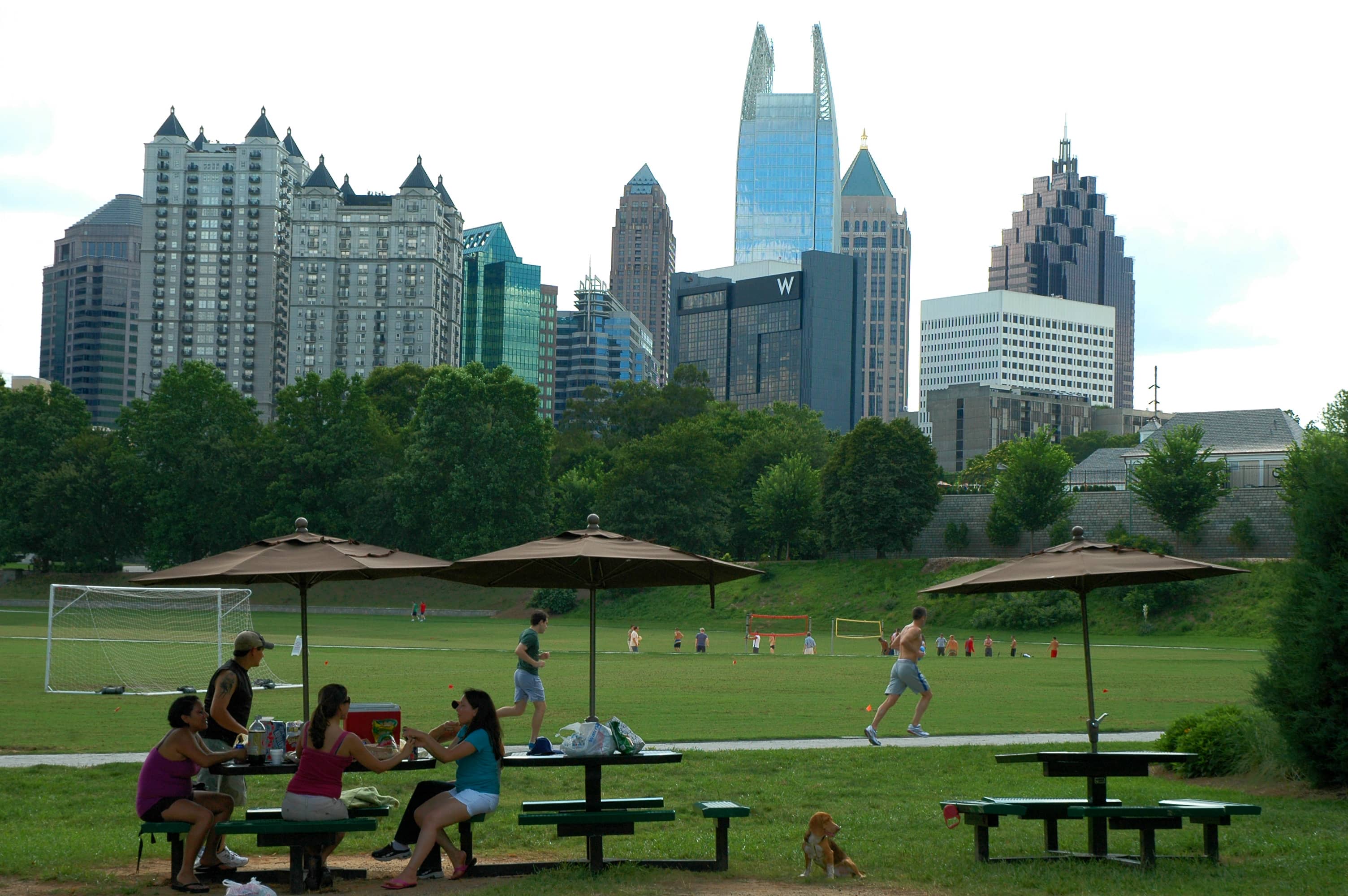Picnic Perfection