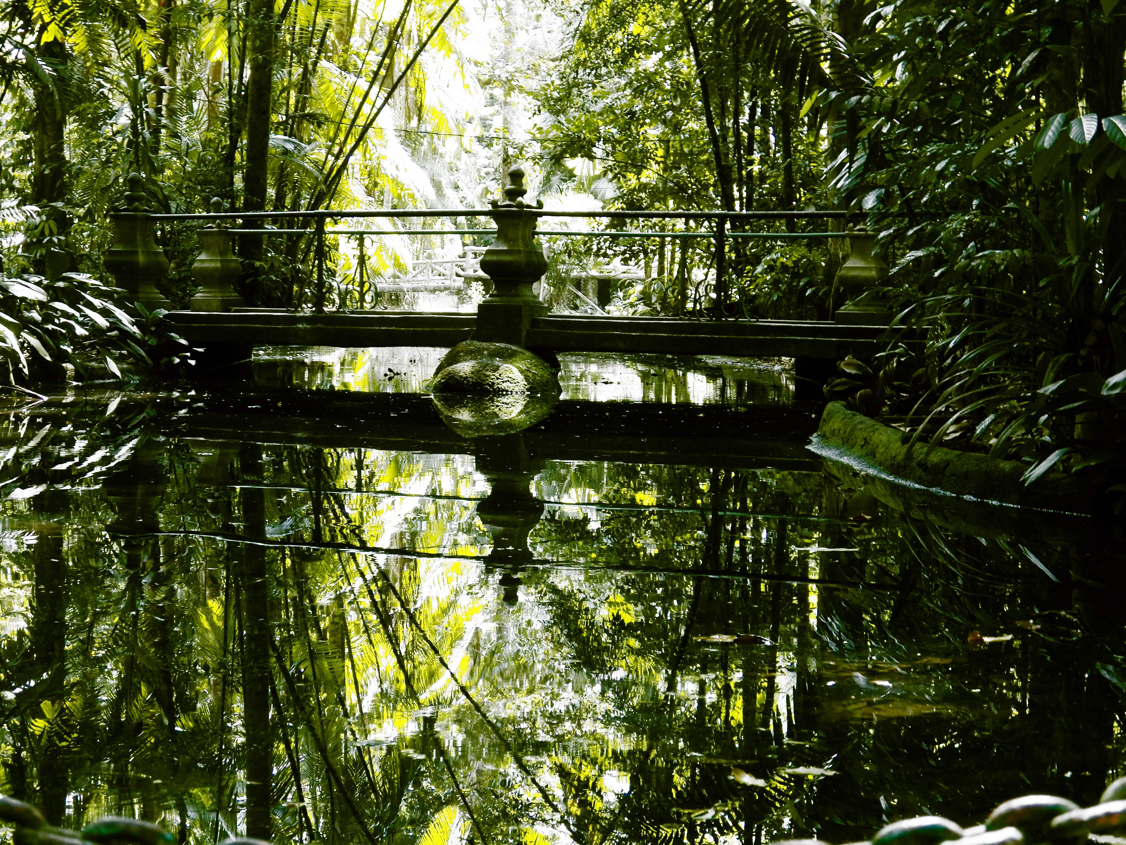 Diverse Flora and Fauna