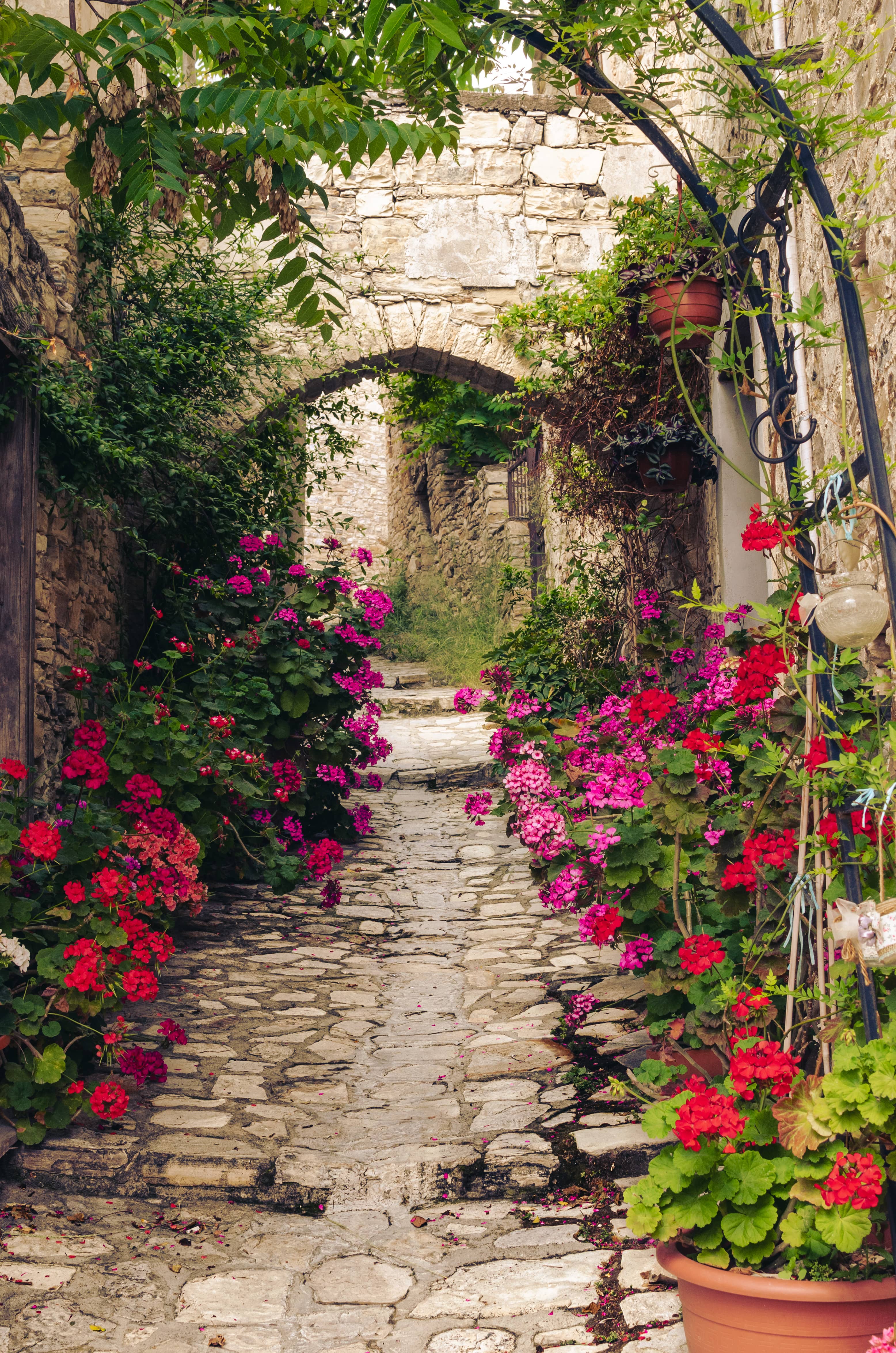 Cobblestone Alleys & Architecture
