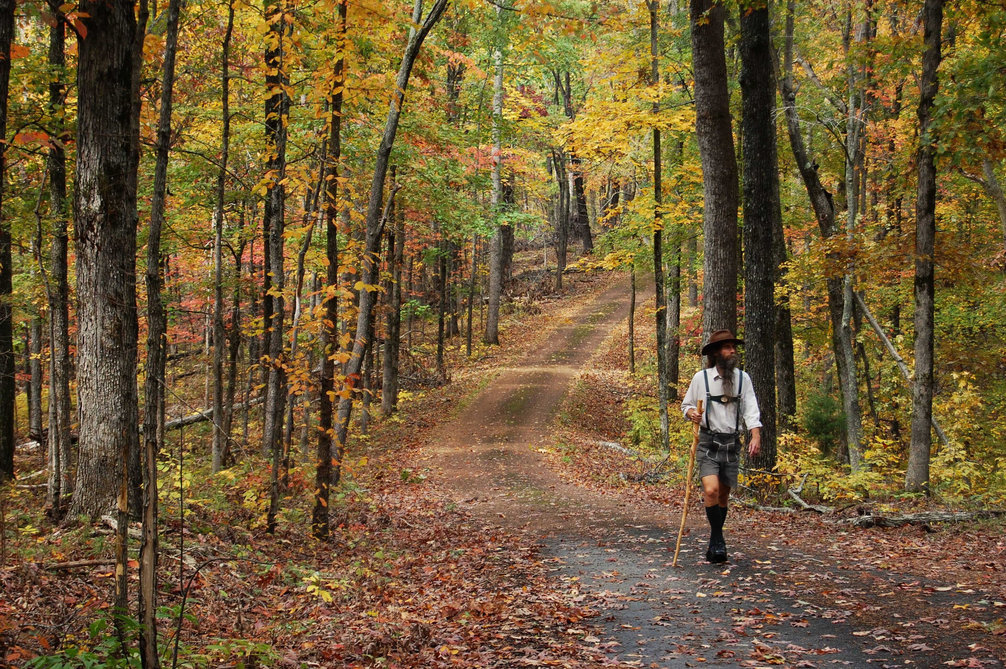 Fall Foliage Spectacle