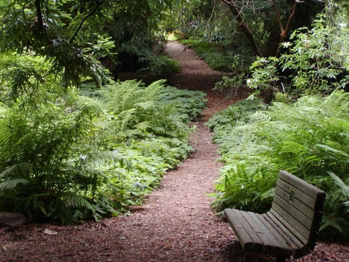 Upper Trails & Dog Area