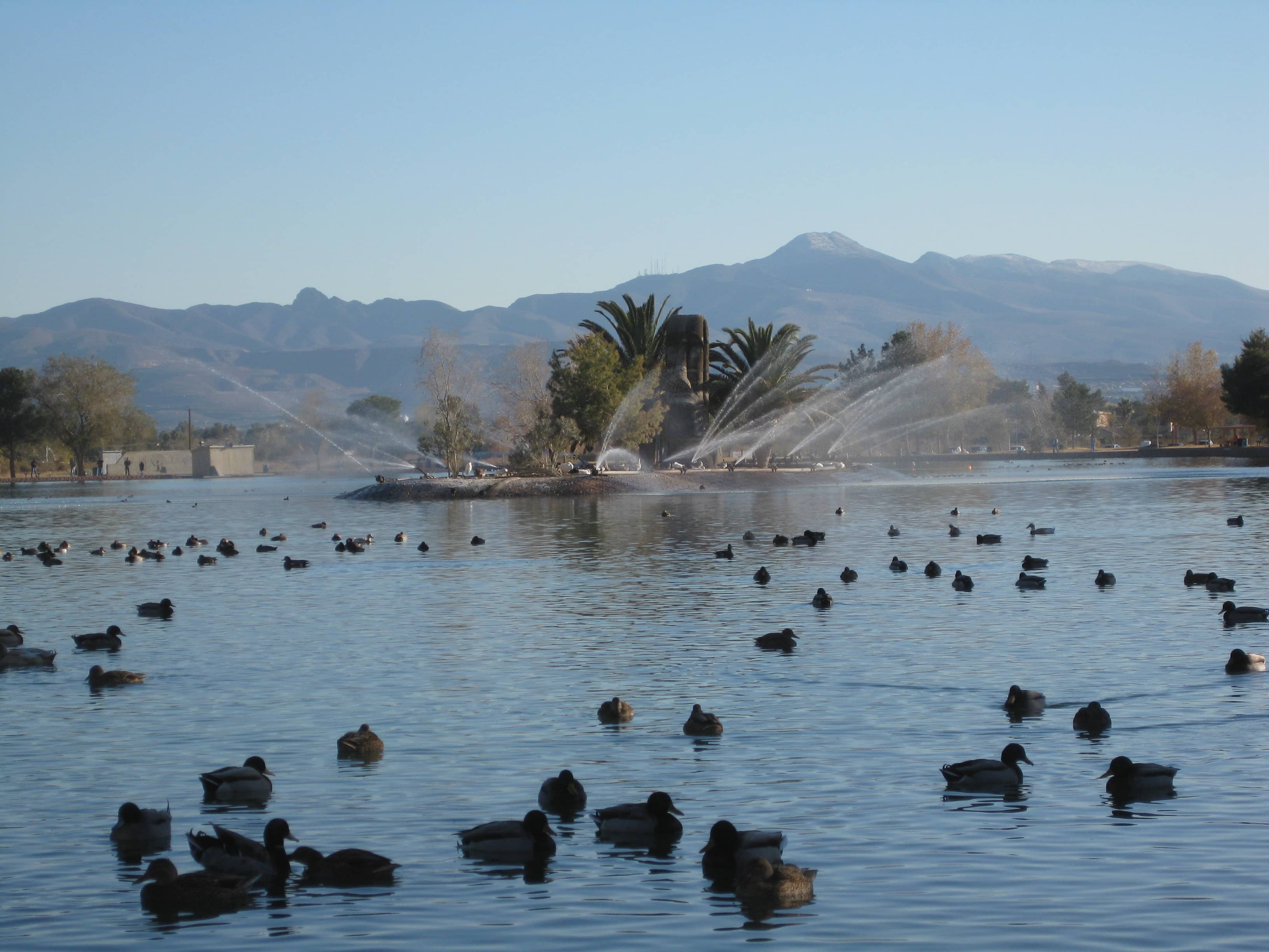 Serene Lake Views