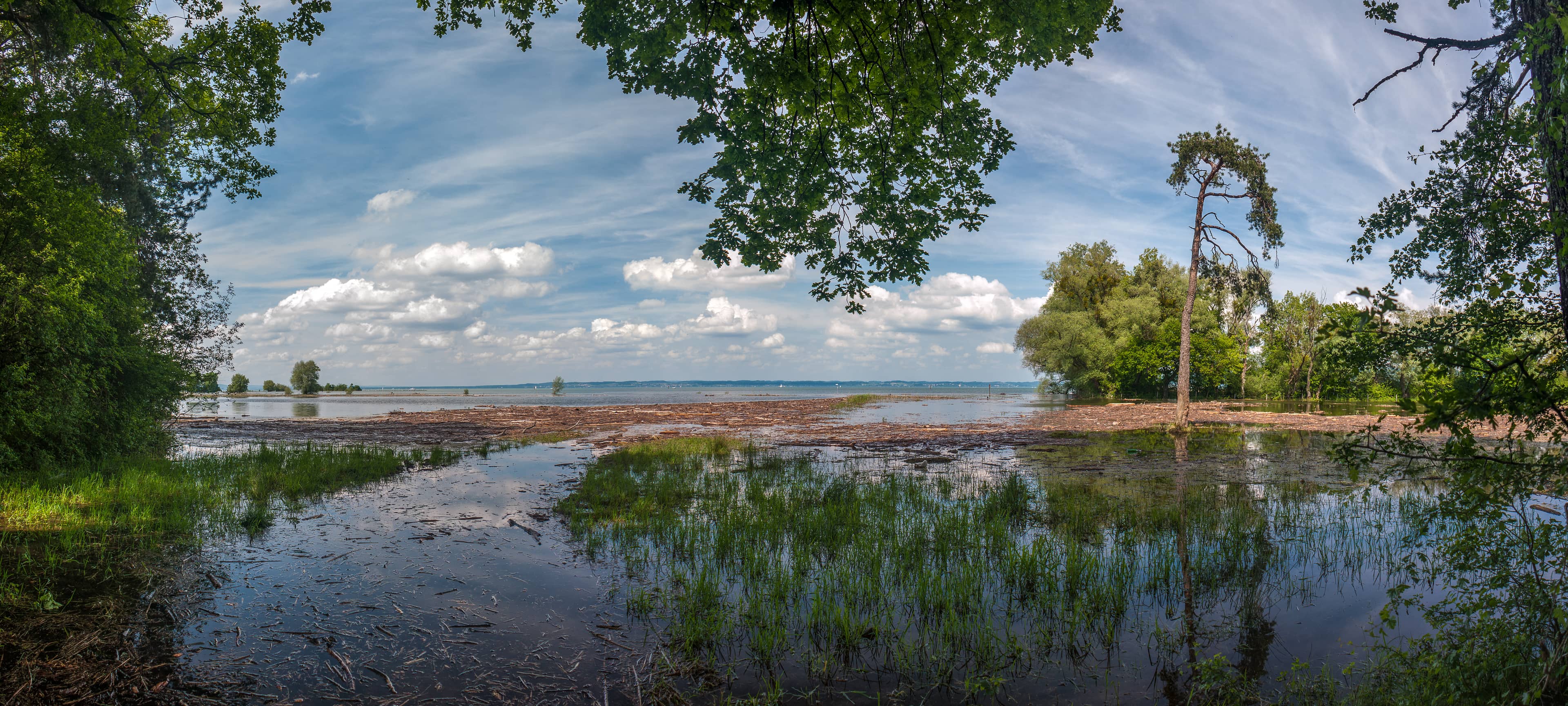 Tranquil Lake Views