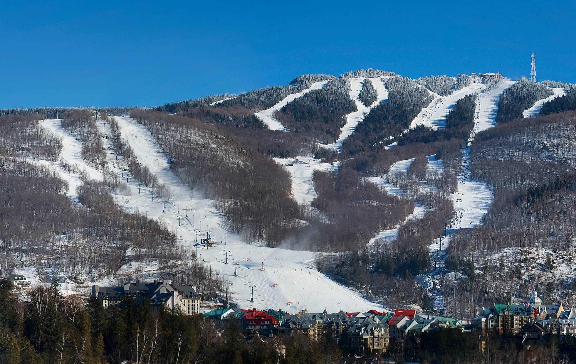 Skiing & Snowboarding