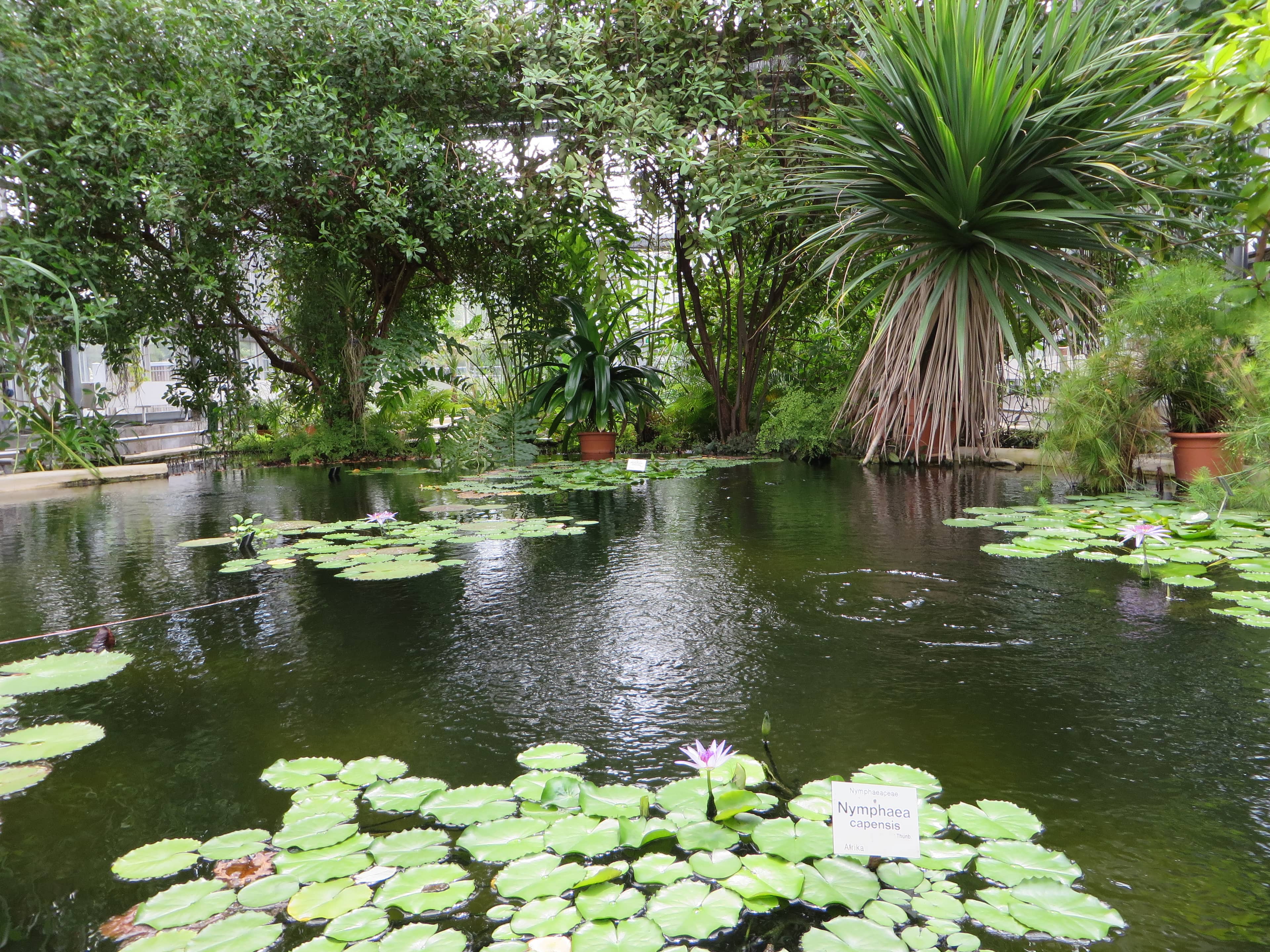 Exotic Plant Exhibits