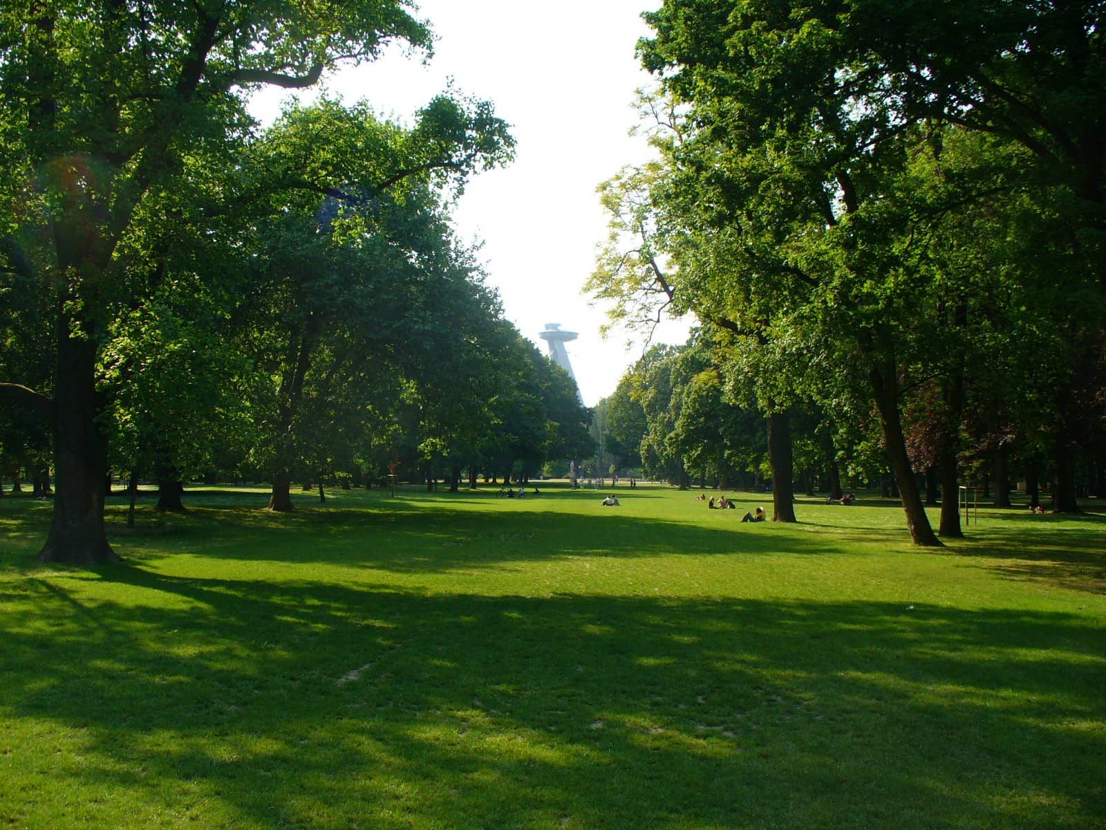 Ancient Trees & Lawns