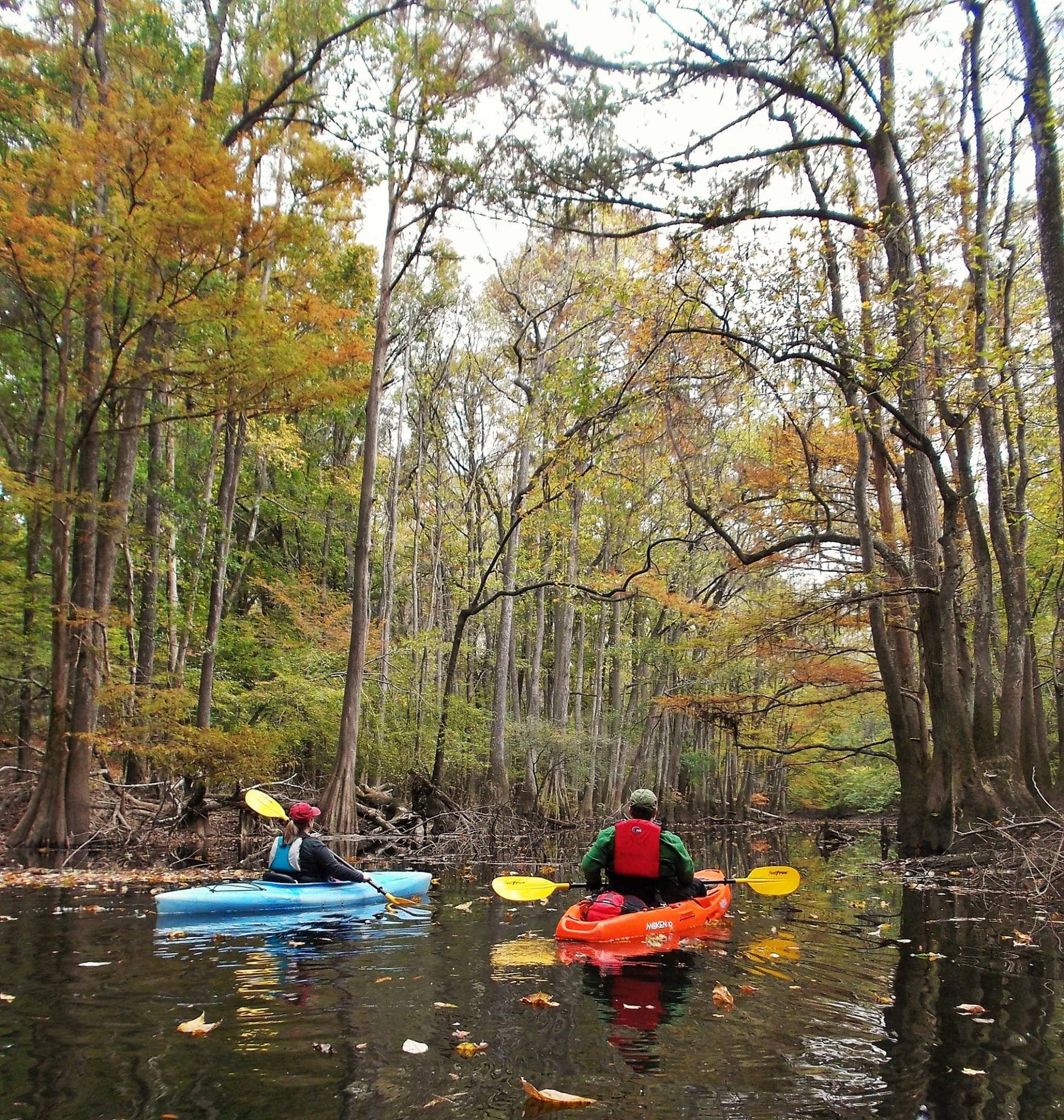 Kayaking and Canoeing