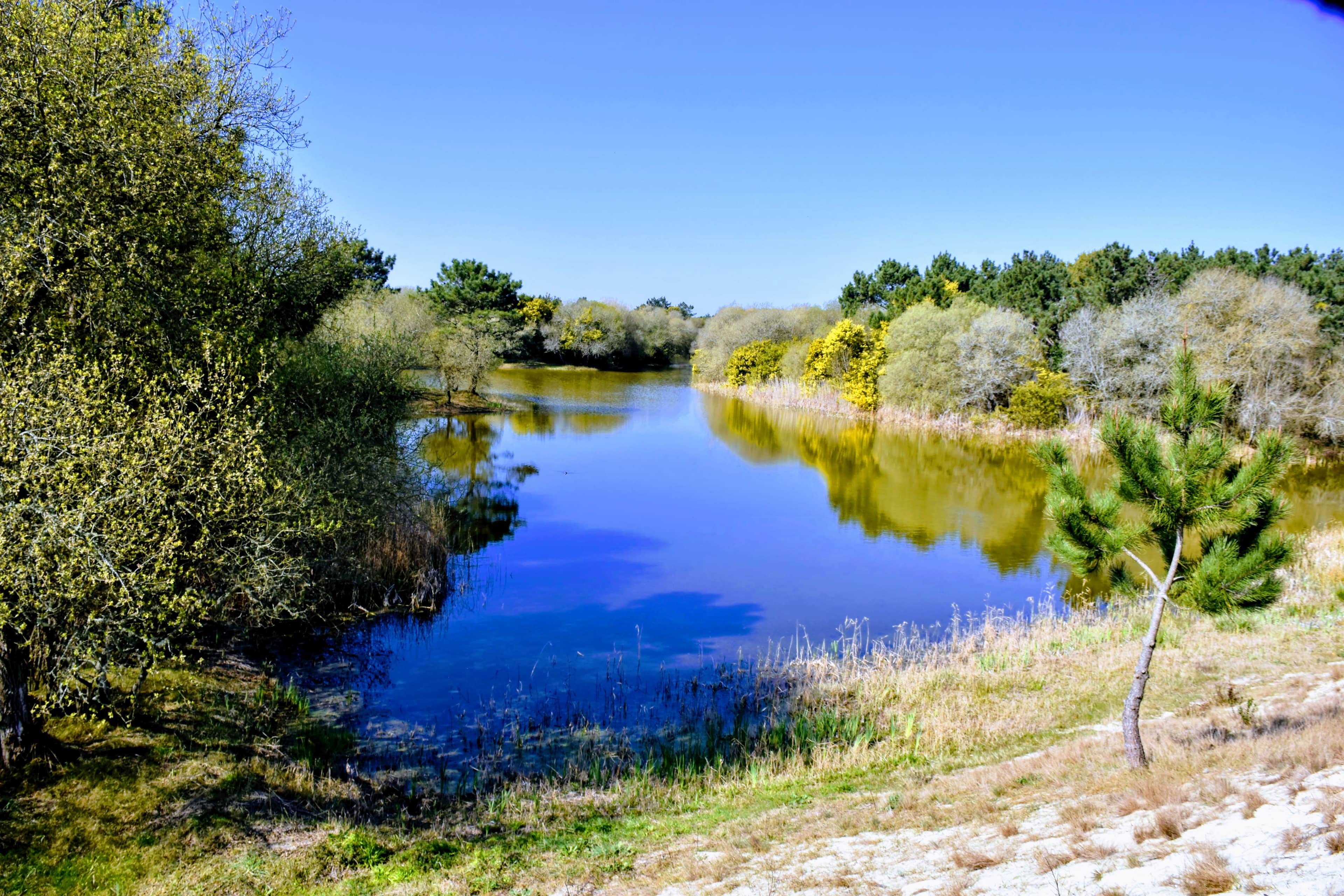 São Jacinto Dunes Natural Reserve