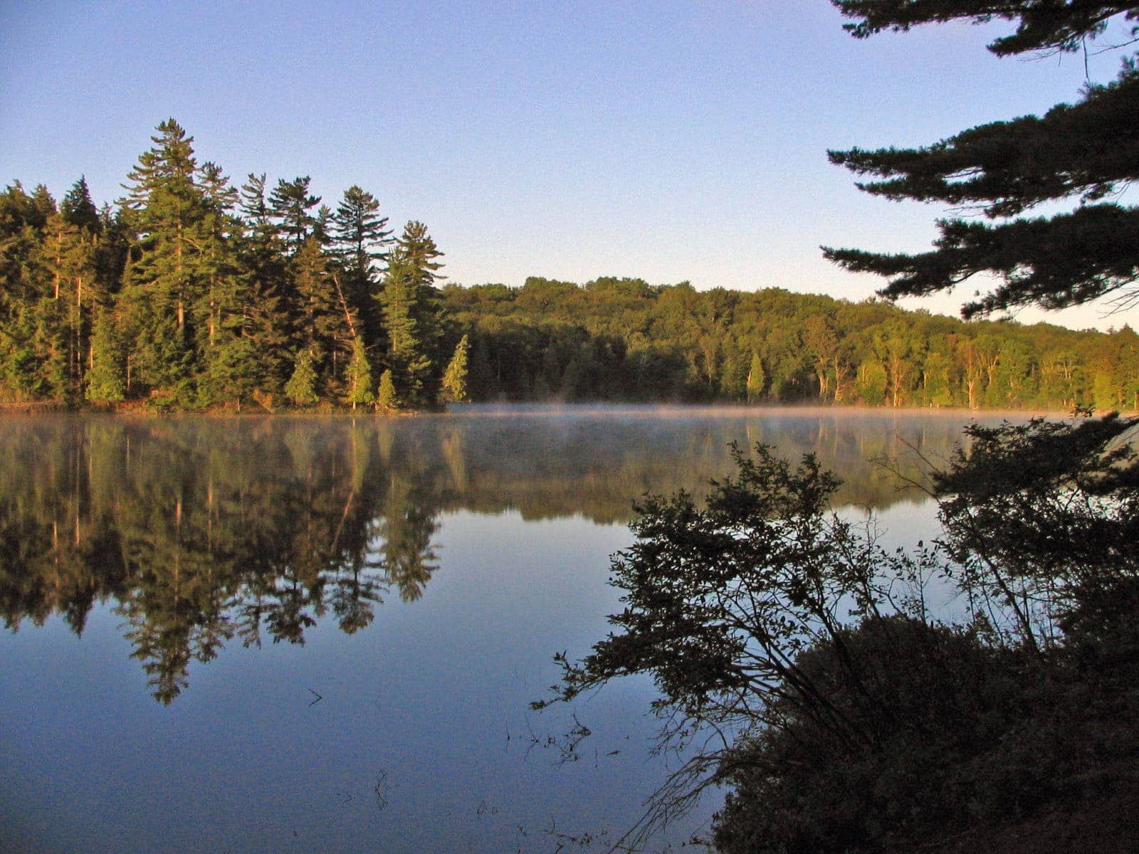Tranquil Pond
