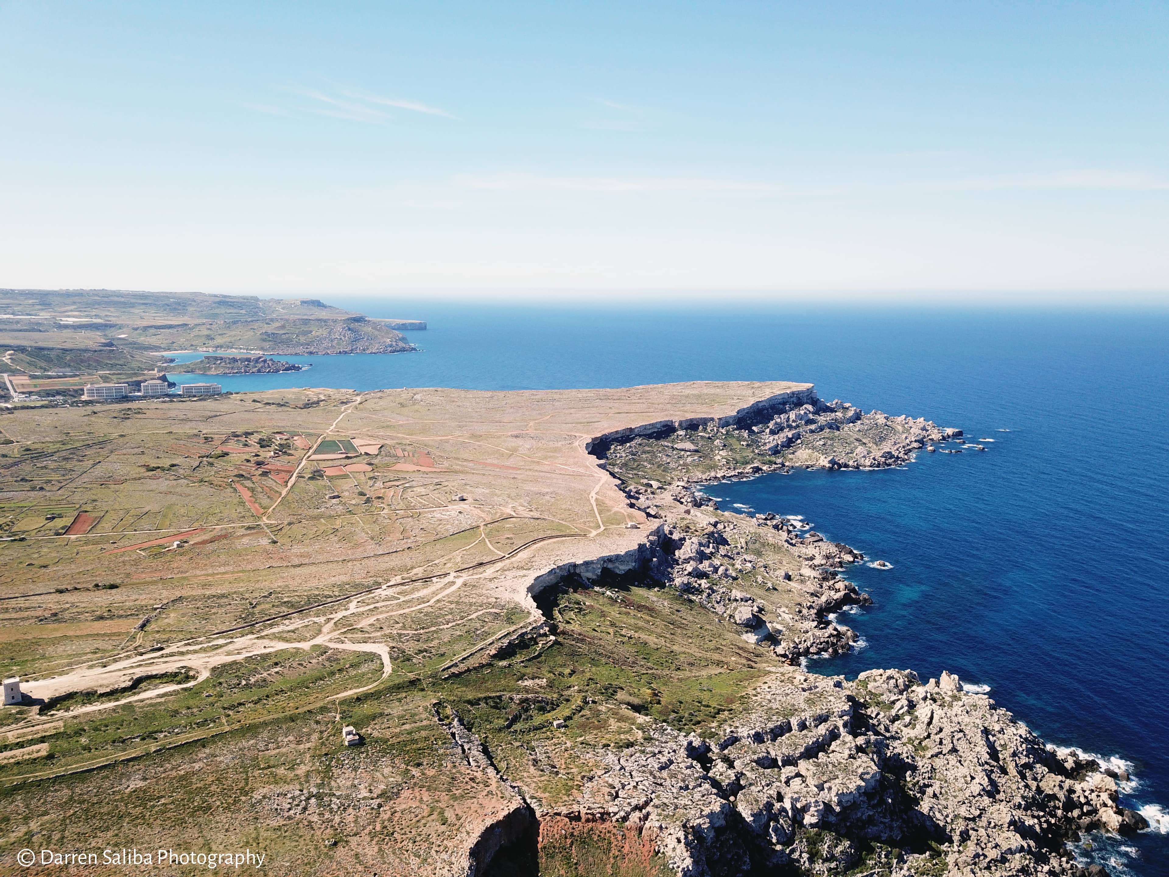 Endemic Flora & Nesting Birds