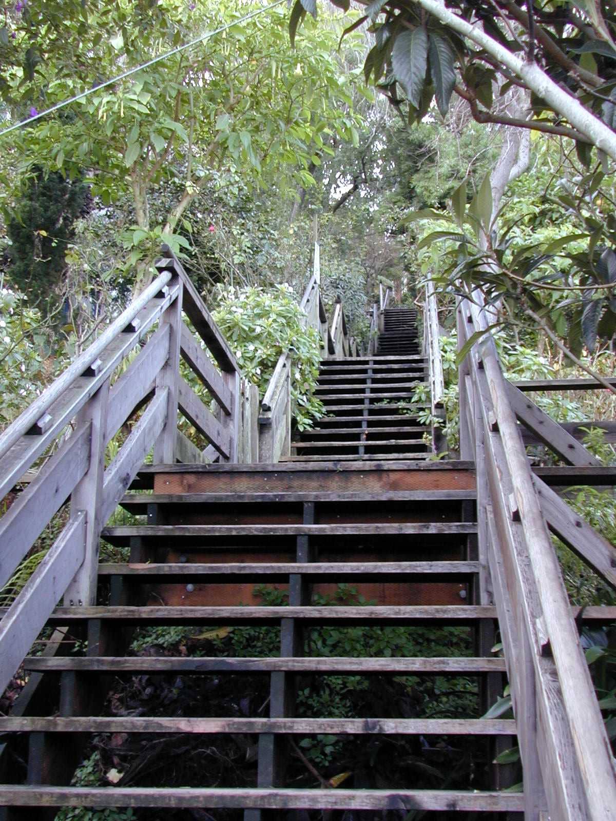 Telegraph Hill Steps