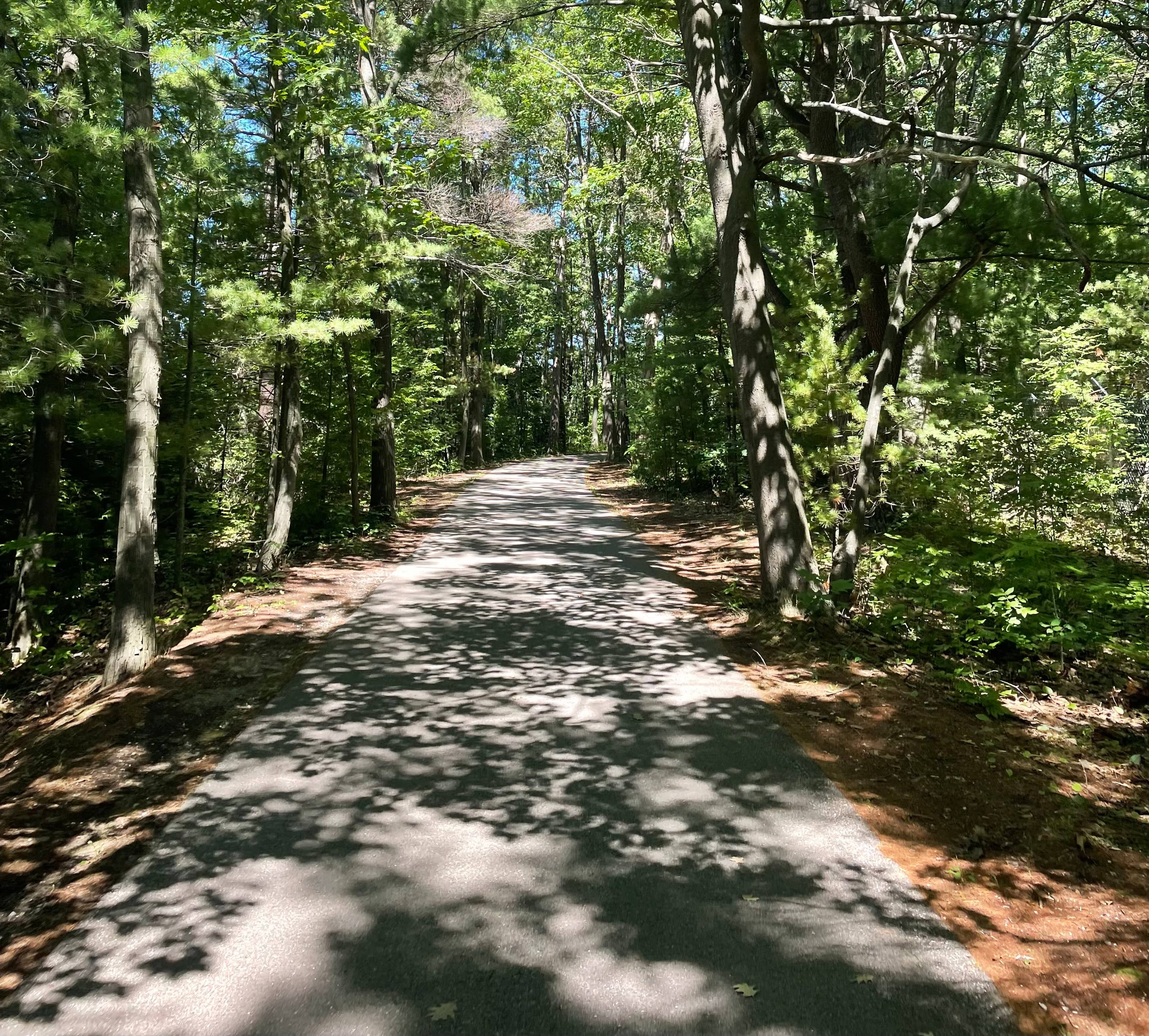 Downtown Traverse City Access