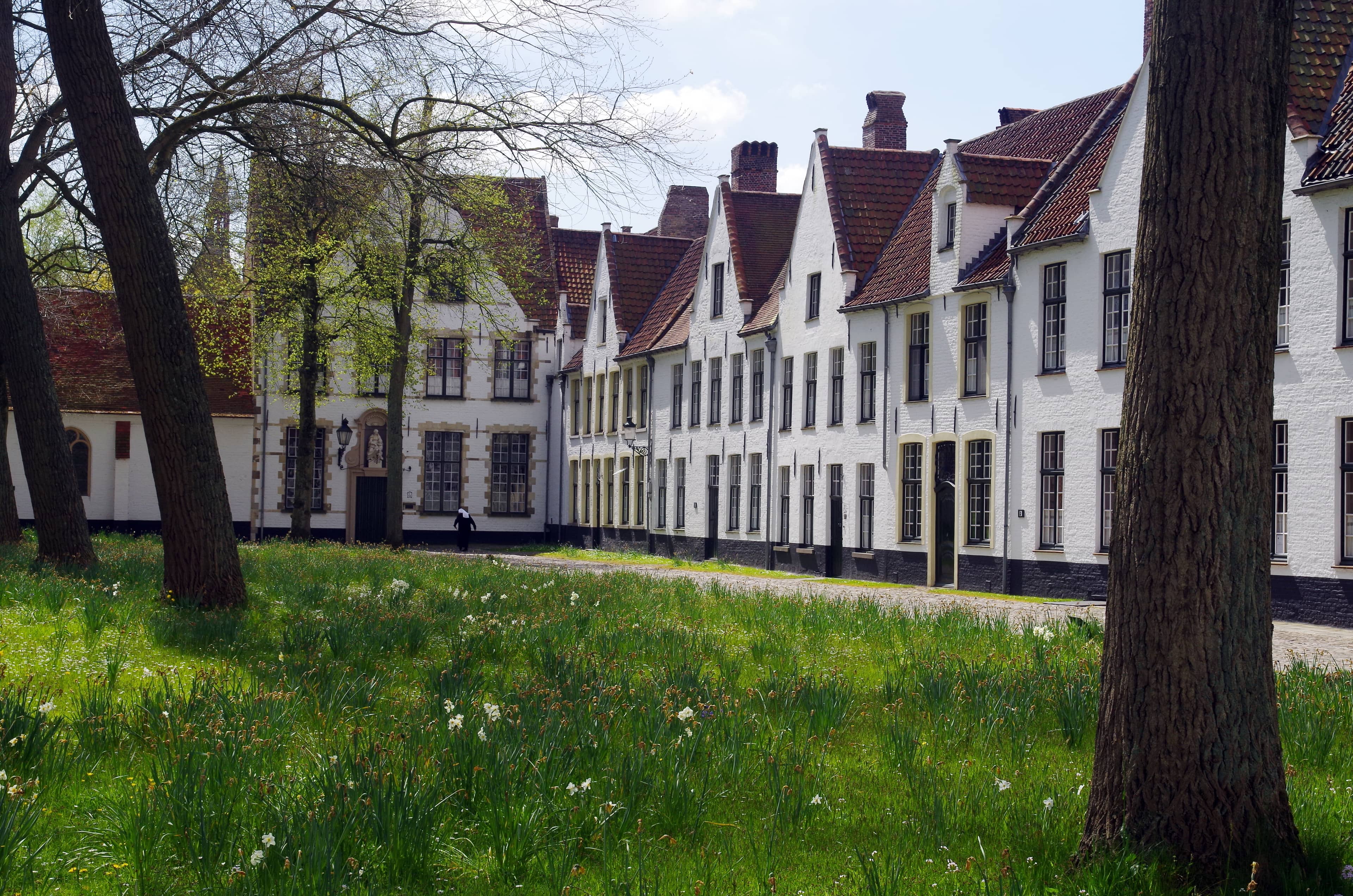 Charming White Houses