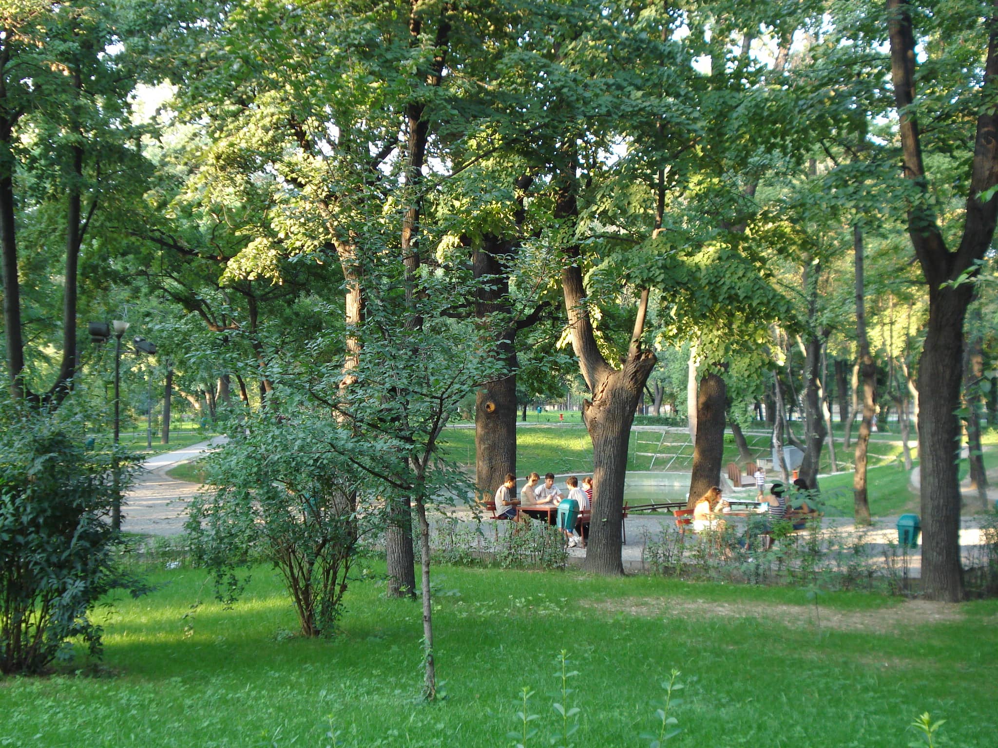 Green Oasis