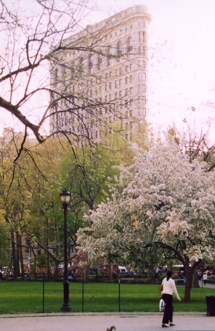 Madison Square Park Views