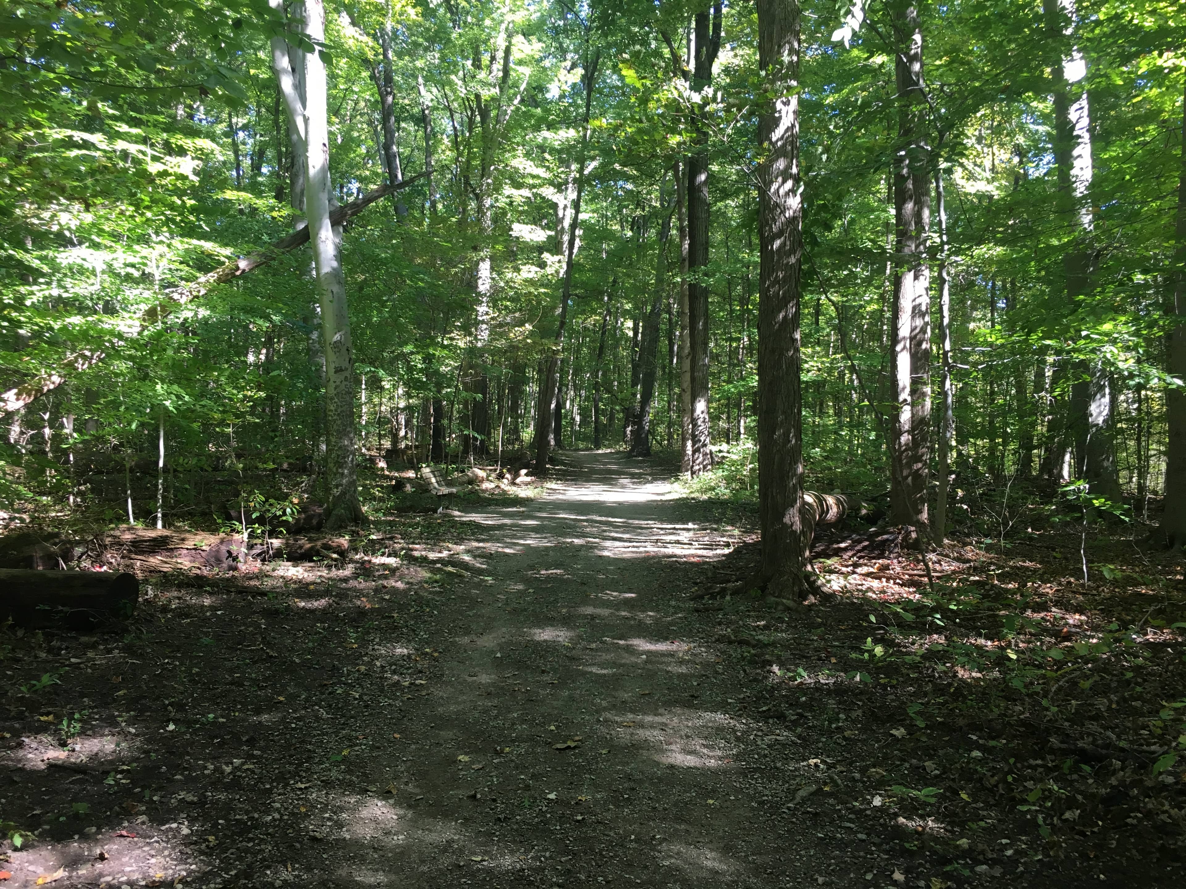 Scenic Walking Trails
