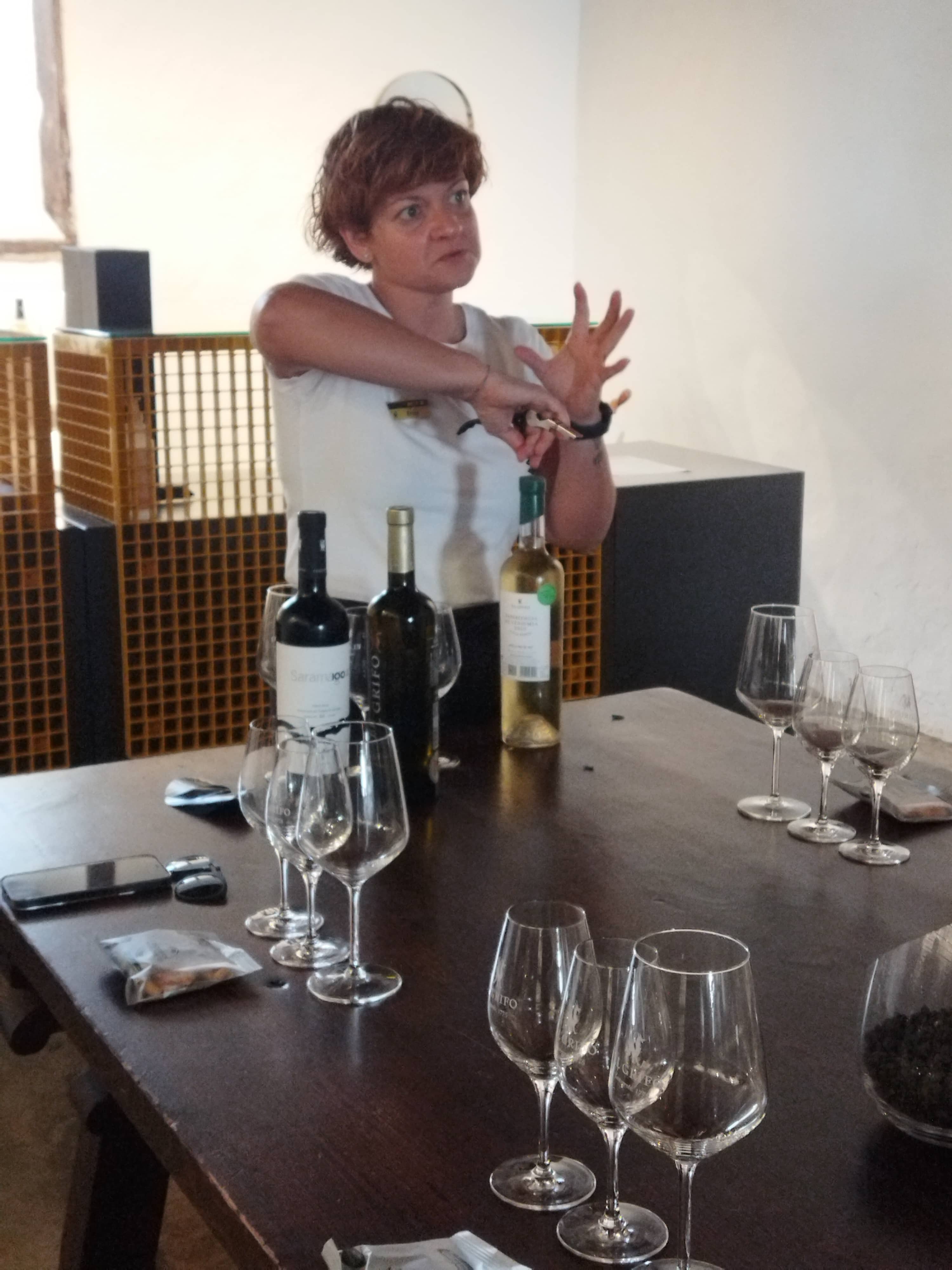 Wine Tasting Experience