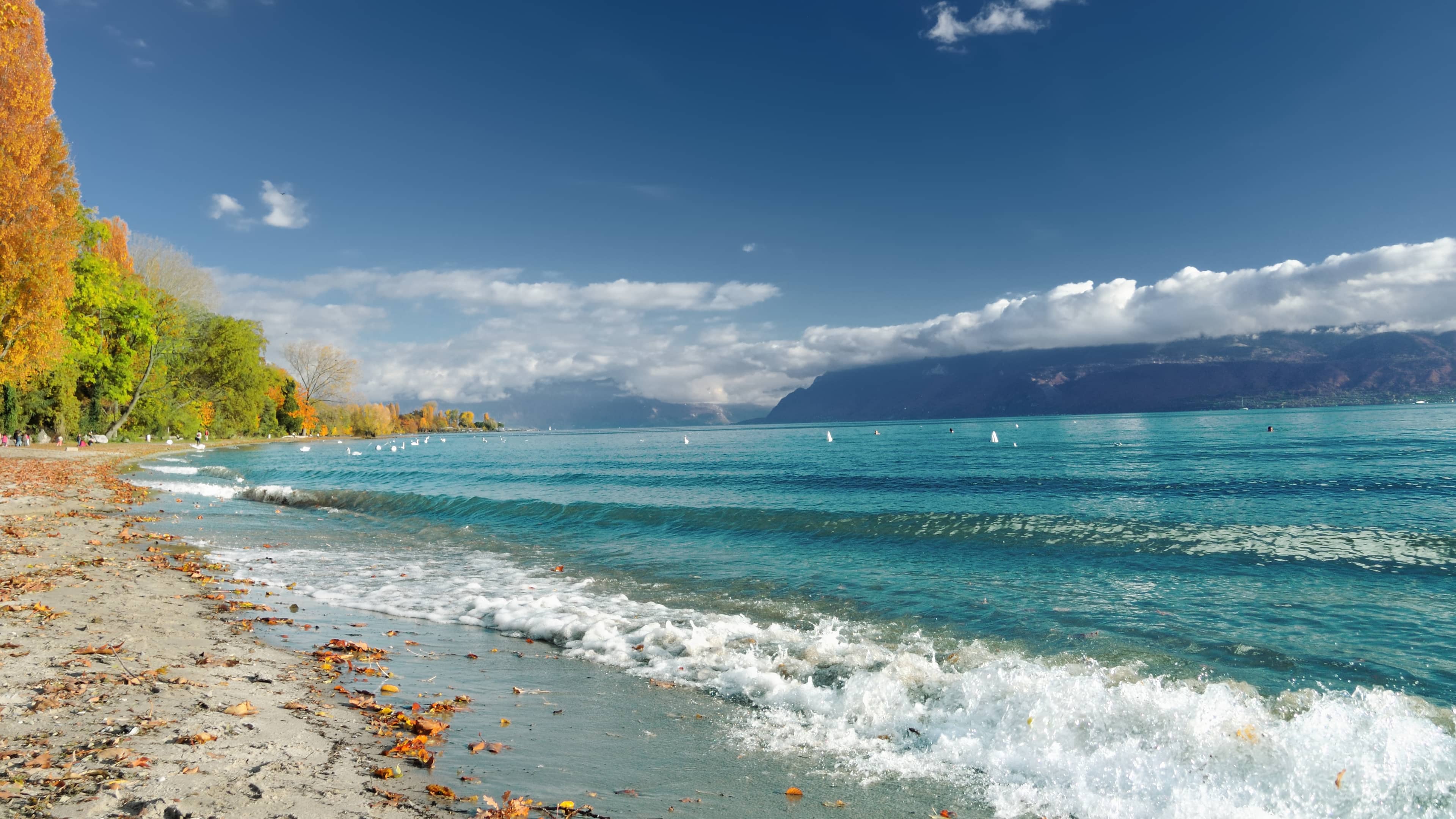 Lake Geneva Views