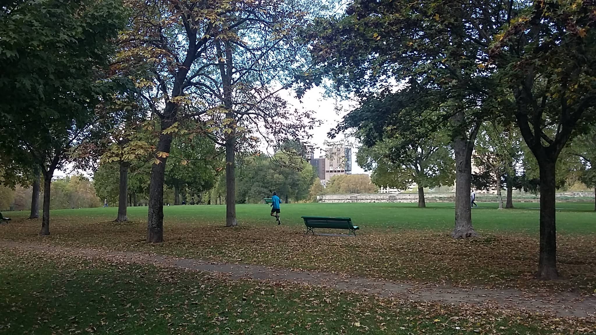 Lush Green Spaces