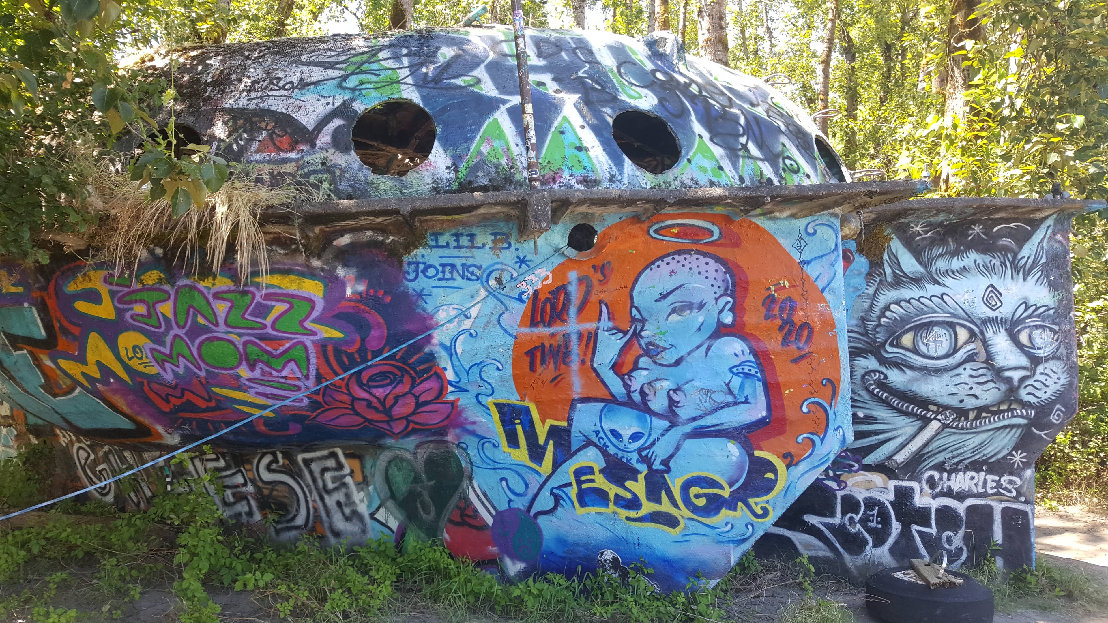 The Sauvie Island UFO