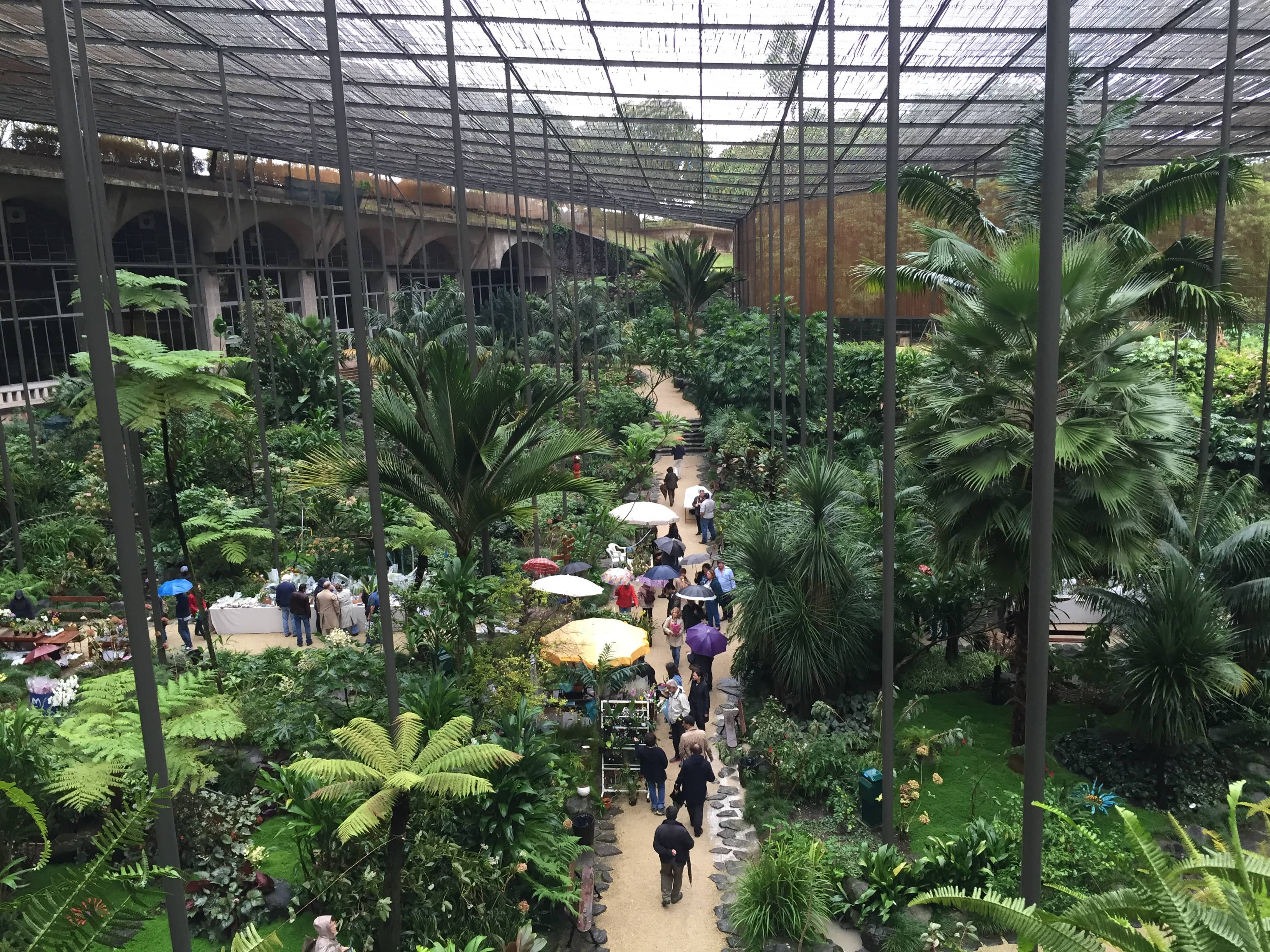 Estufa Fria (Cold Greenhouse)