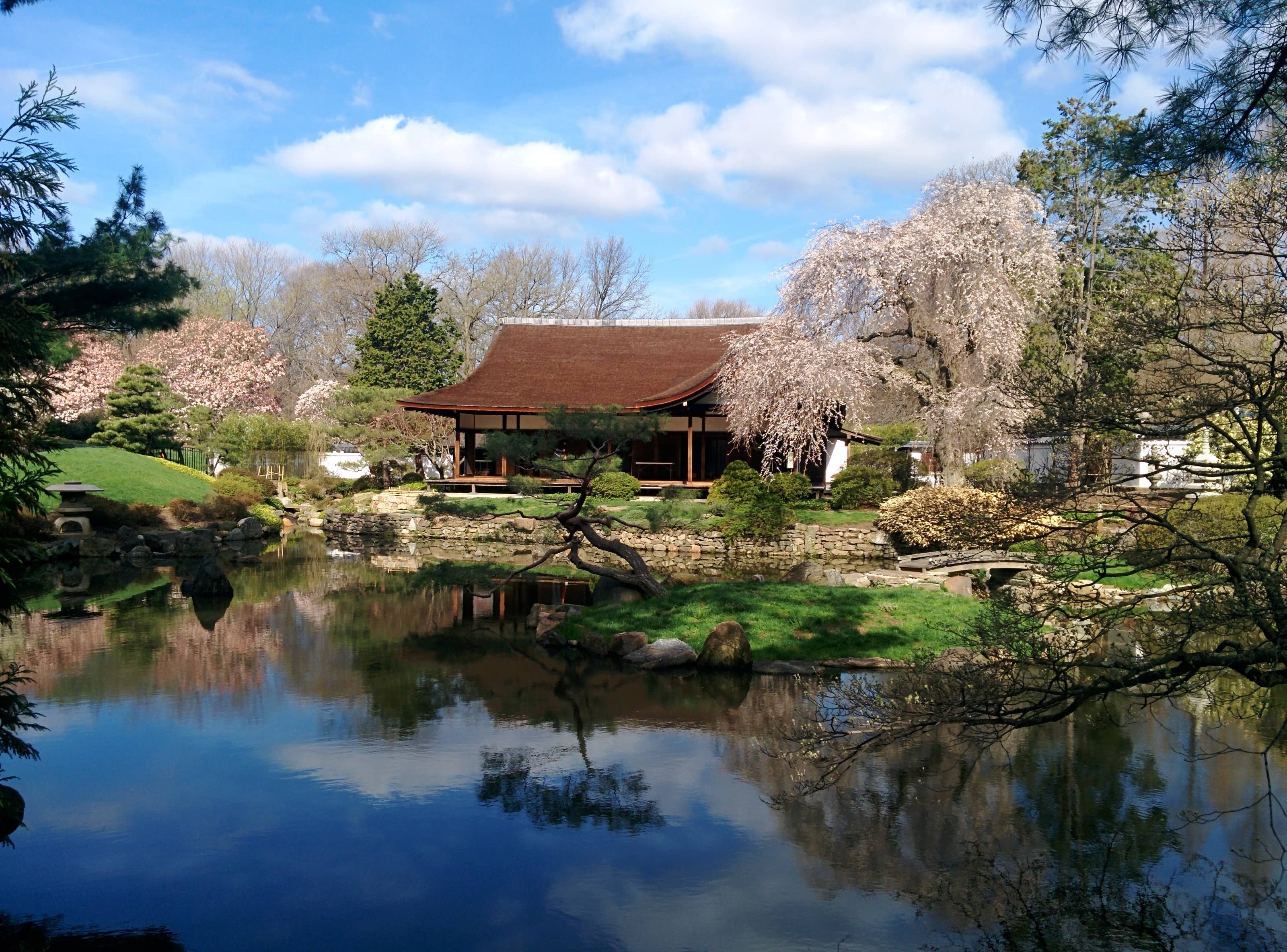 Tranquil Gardens