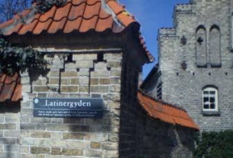 Latinergyden