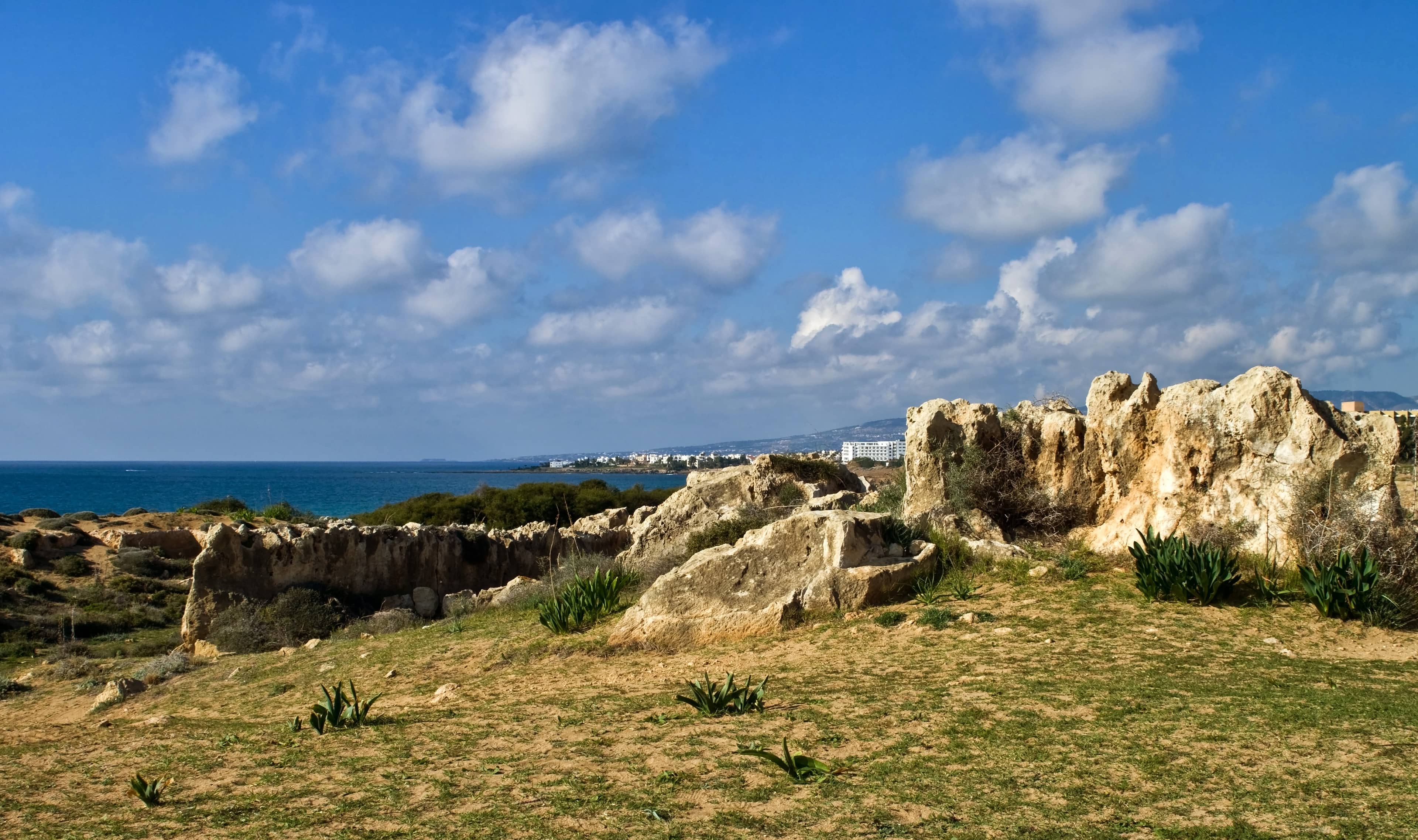 Coastal Views
