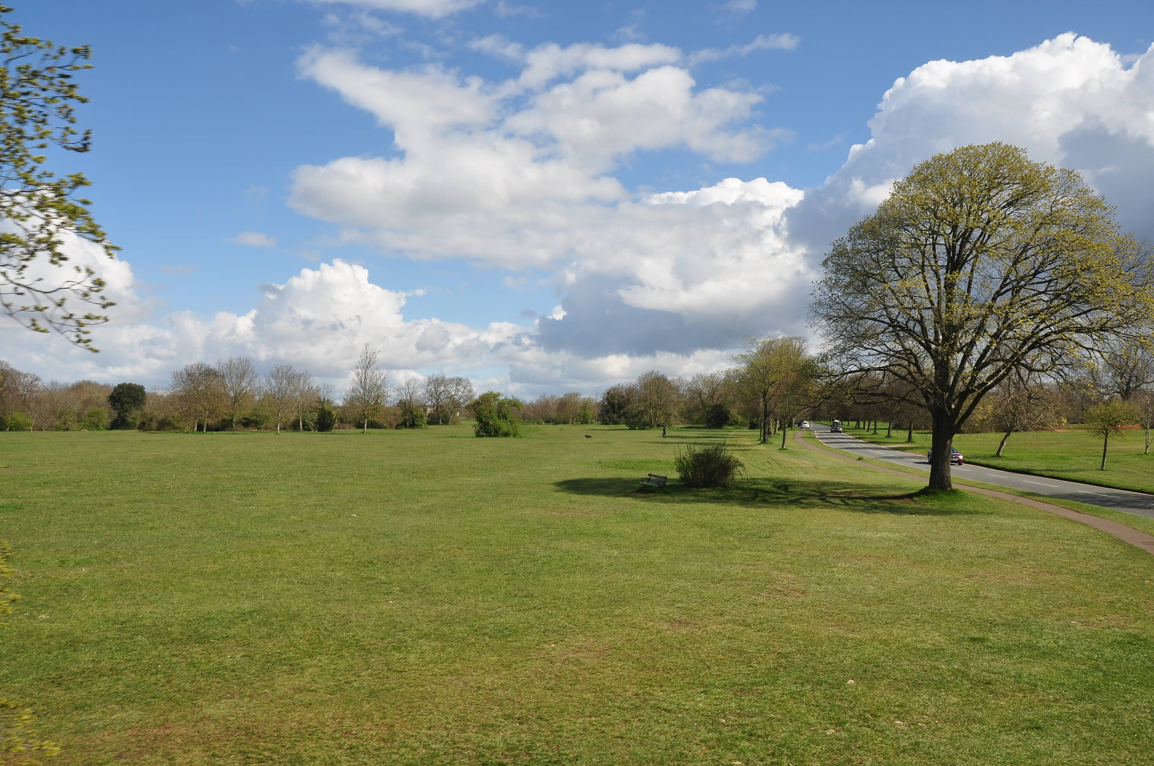 The Downs