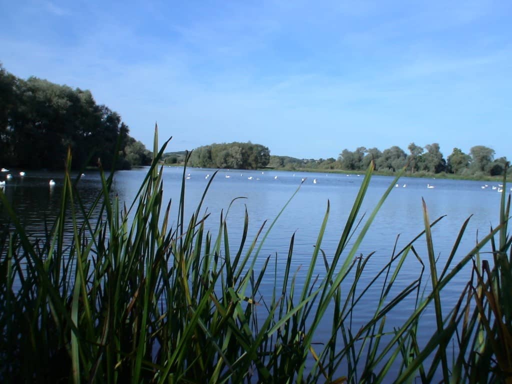 Fishing Lake
