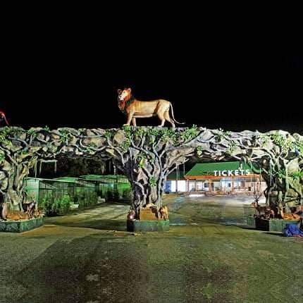 Diverse Mammal Habitats