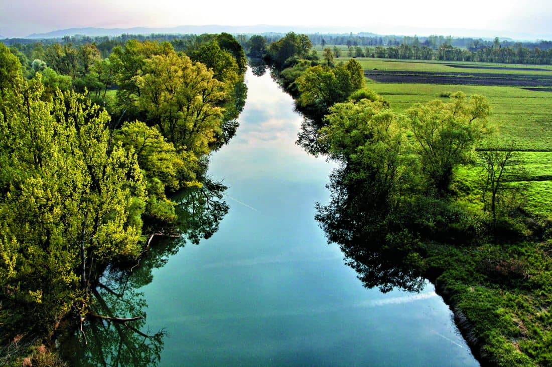 Ljubljanica River Flow