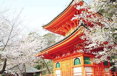 Seasonal Floral Displays