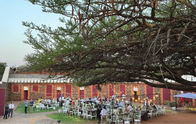The Great Camelthorn Tree