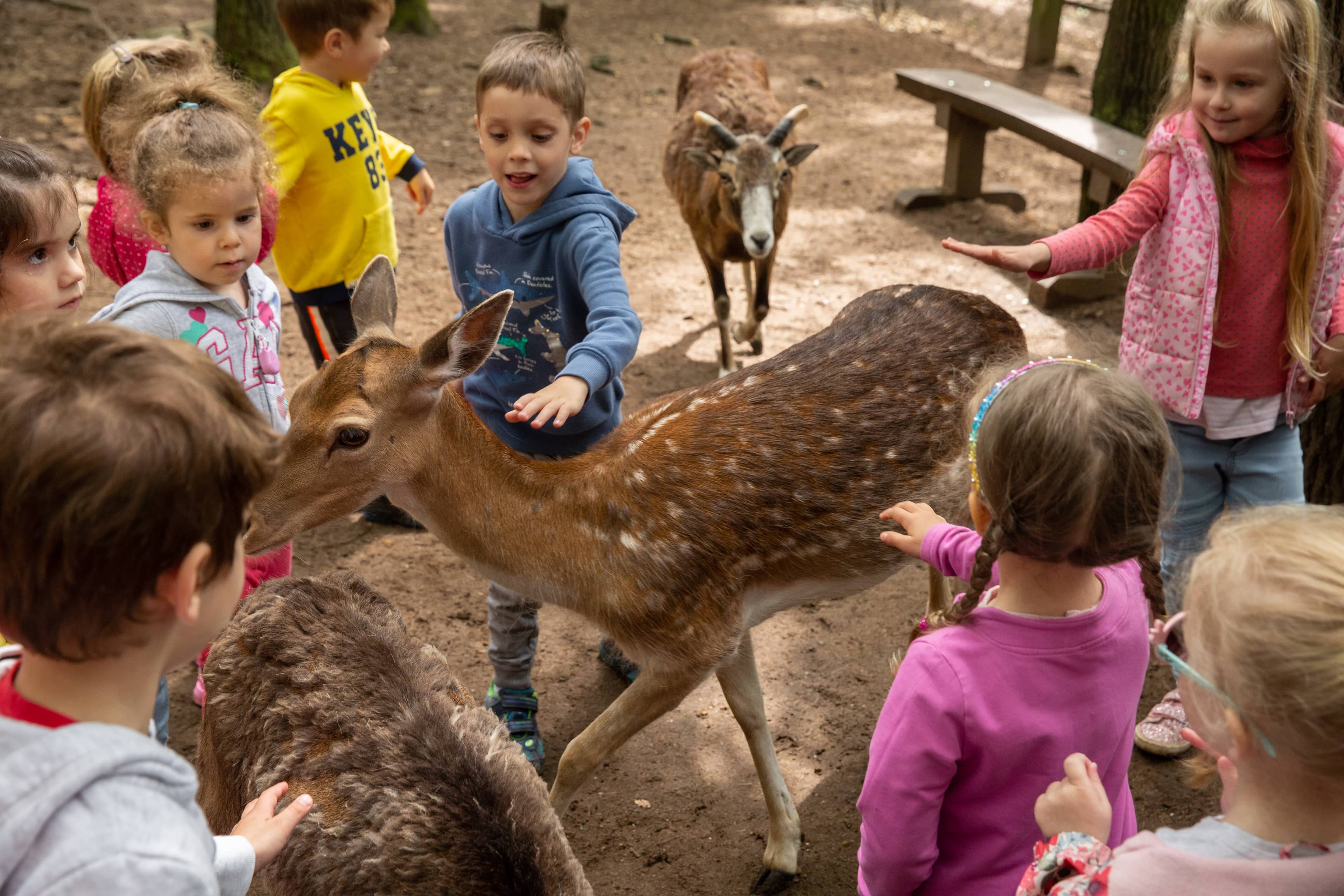 Children's Zoo