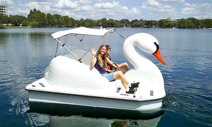 Swan Boat Rides