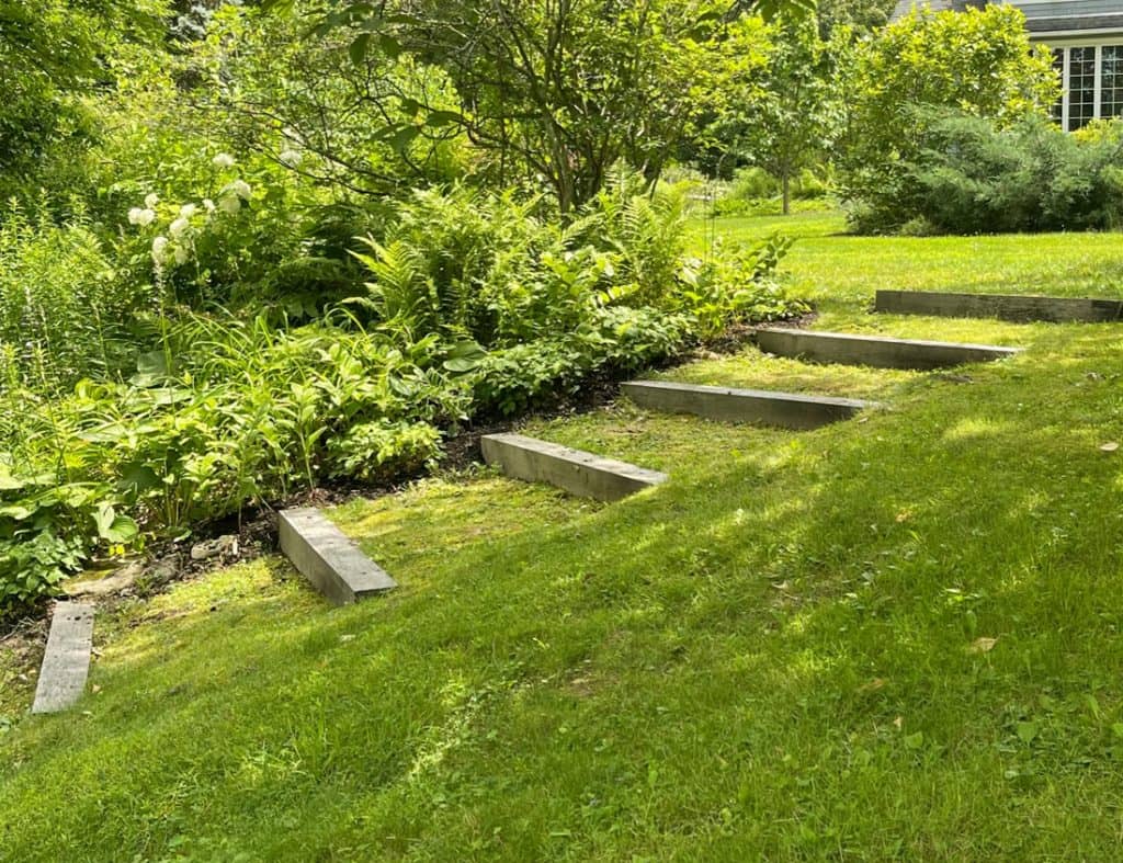 Terraced Landscape